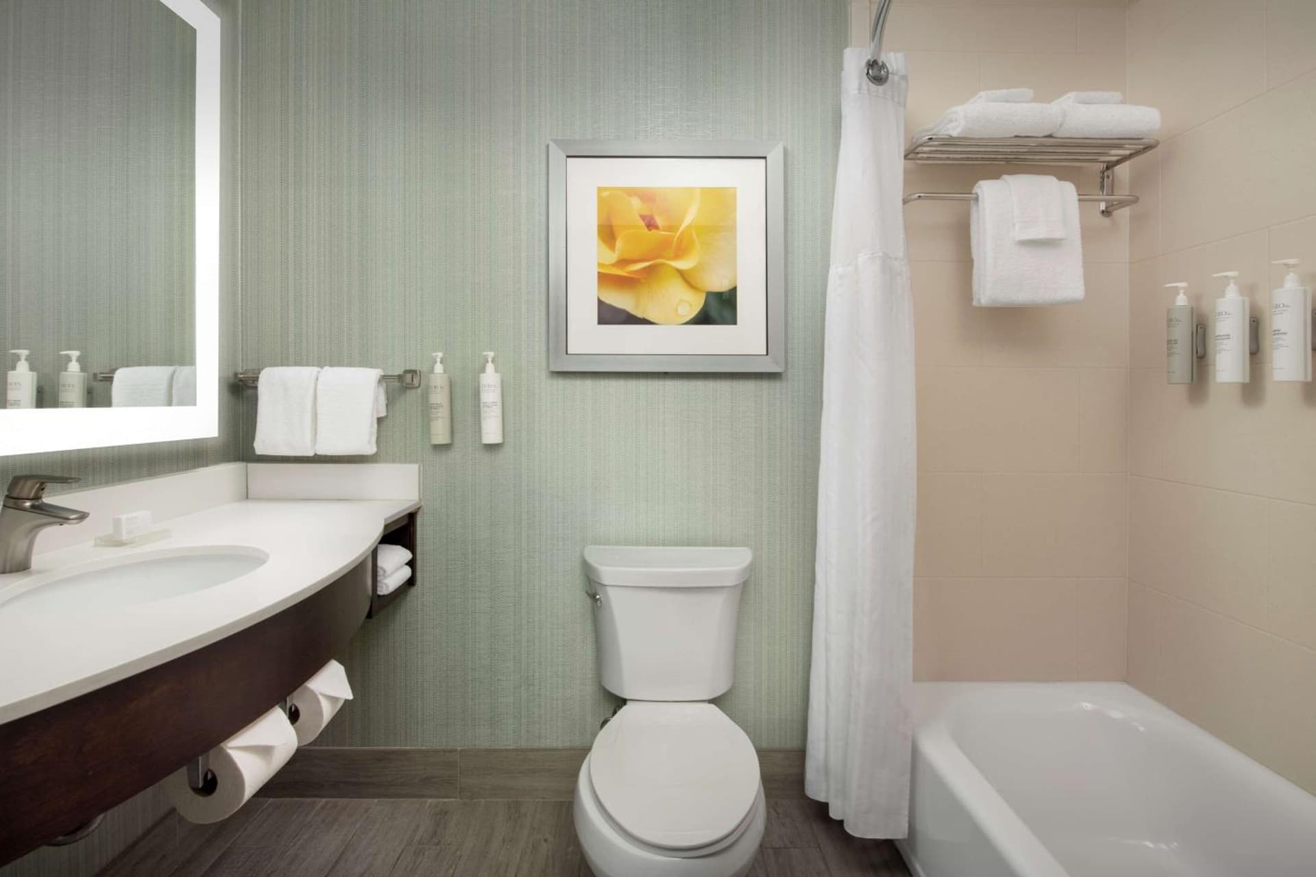 Hilton Garden Inn Murfreesboro gallery photo in Murfreesboro, TN — image 27