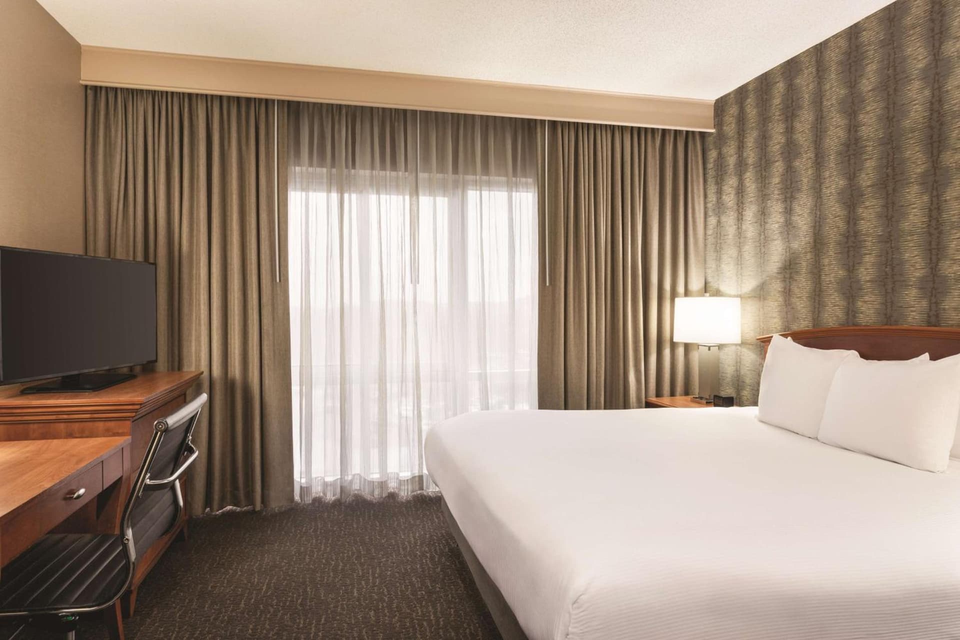 Embassy Suites by Hilton Franklin Cool Spring gallery photo in Franklin, TN — image 51
