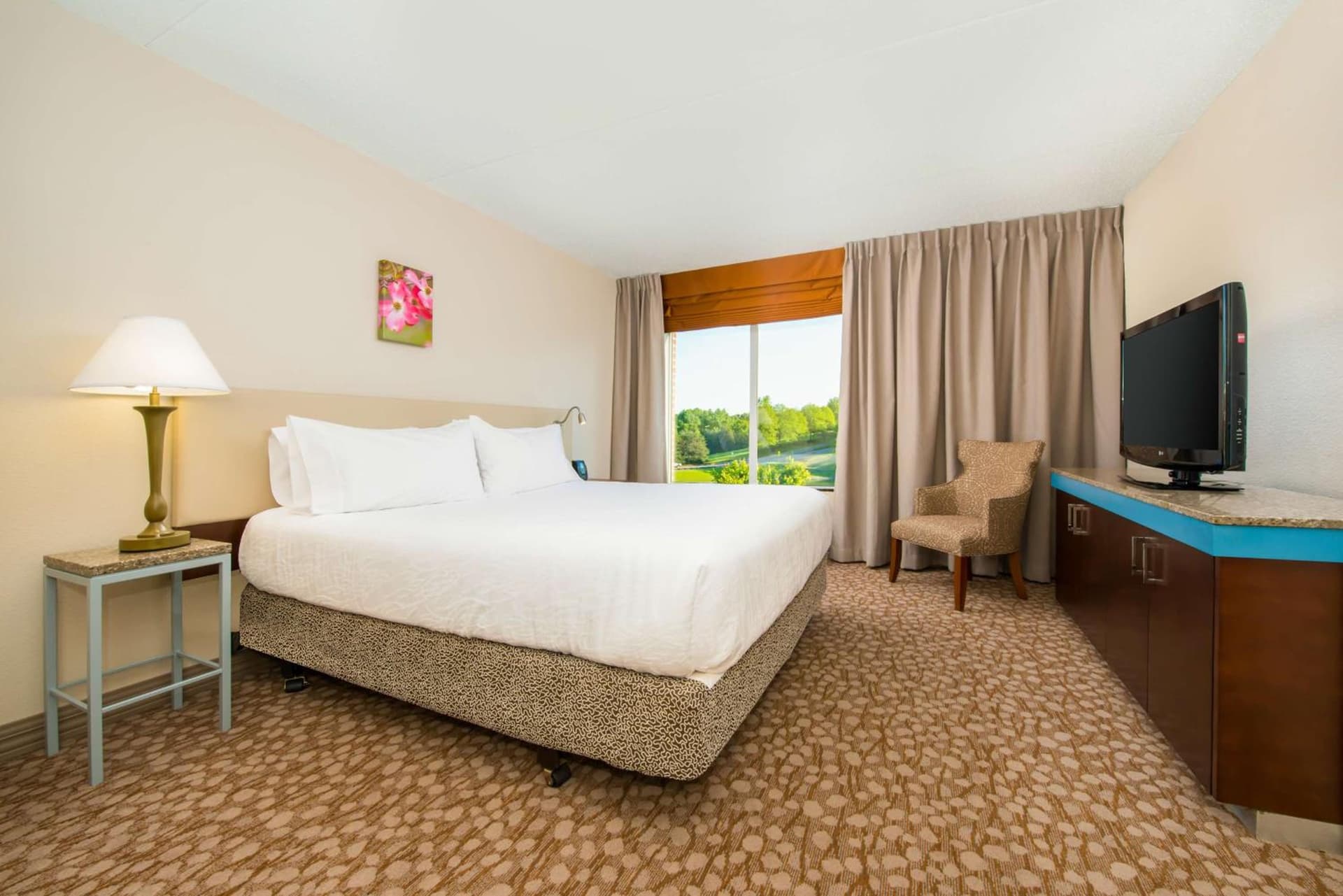 Hilton Garden Inn Charlottesville gallery photo in Charlottesville, VA — image 16