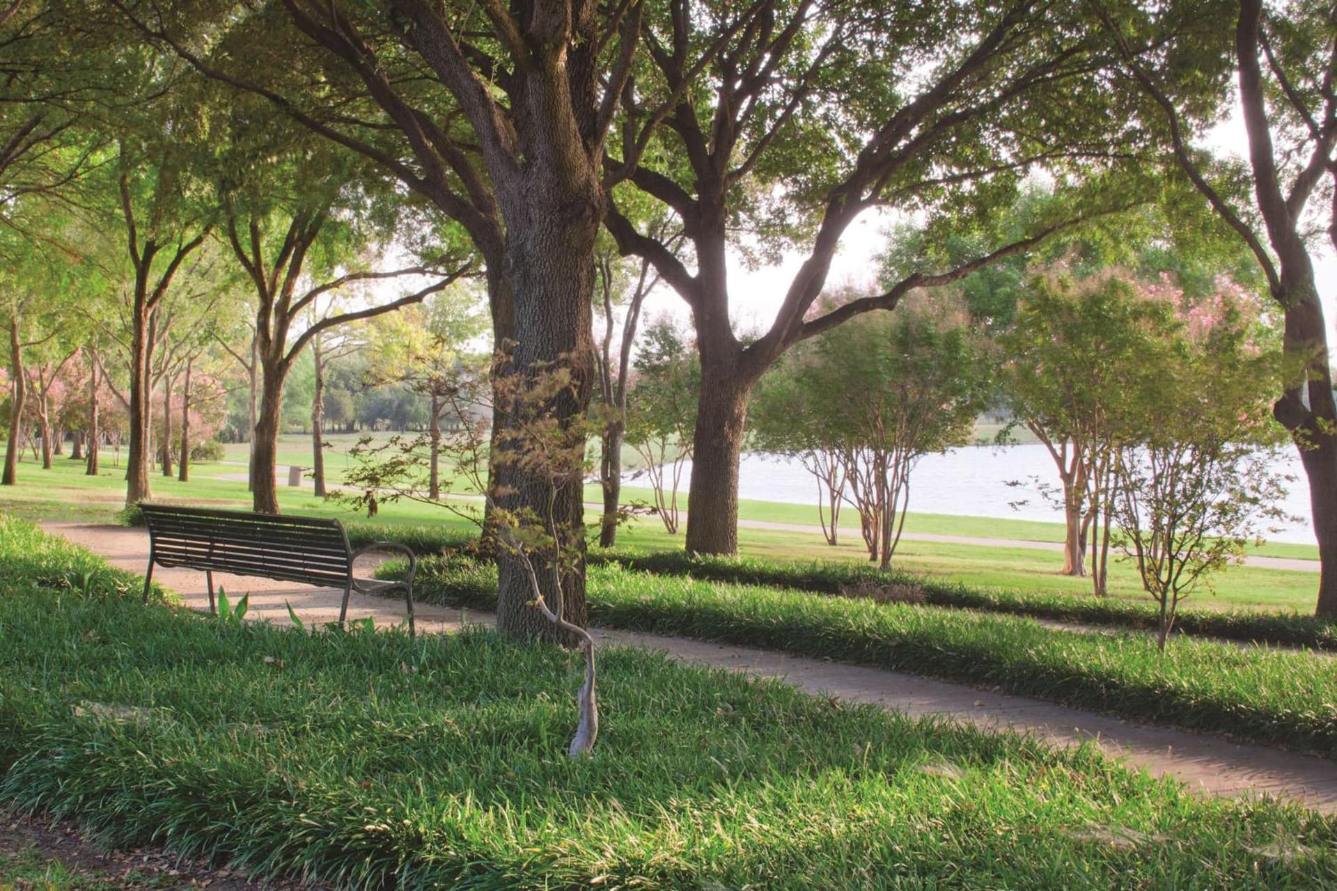 DoubleTree by Hilton Dallas-Farmers Branch interior in Farmers Branch, TX — gallery photo 2
