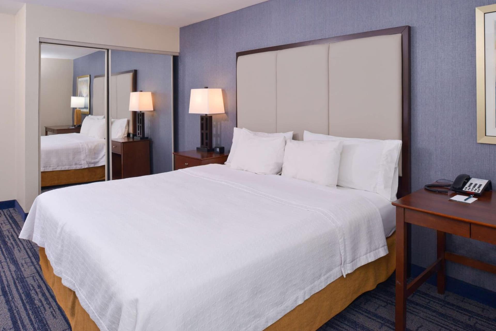 Homewood Suites by Hilton Dallas-Lewisville gallery photo in Lewisville, TX — image 21