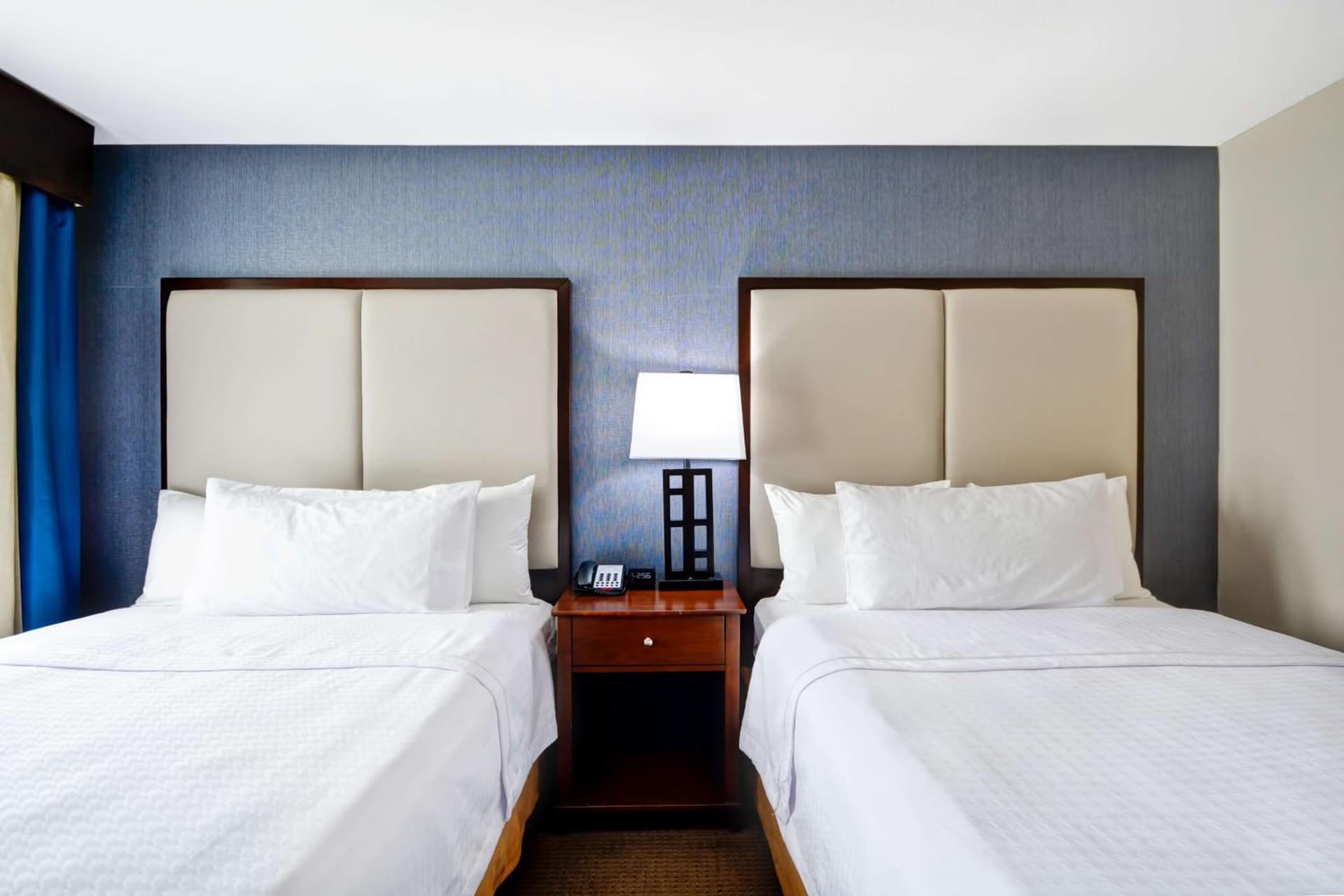 Homewood Suites by Hilton Dallas-Lewisville gallery photo in Lewisville, TX — image 36