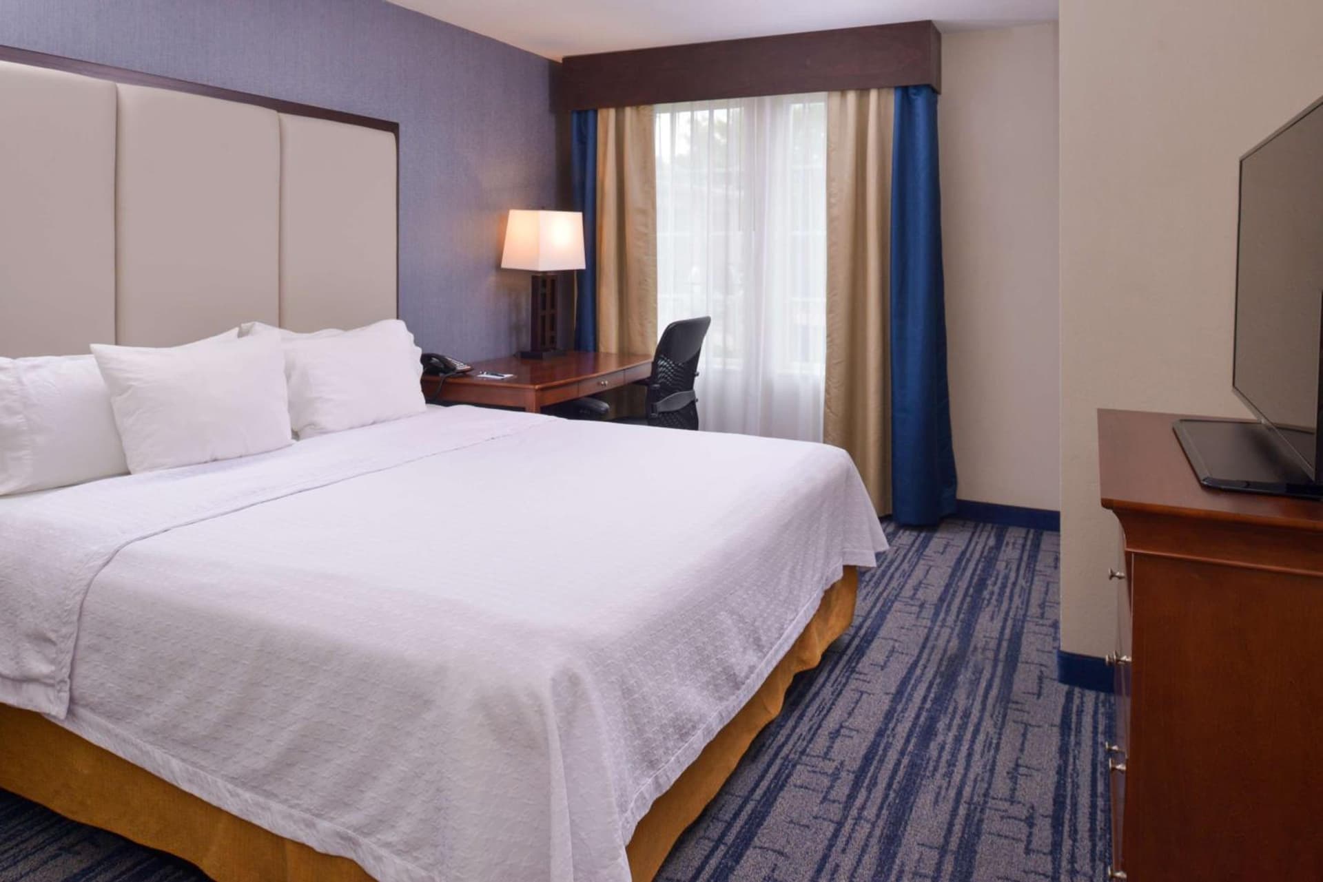 Homewood Suites by Hilton Dallas-Lewisville gallery photo in Lewisville, TX — image 40