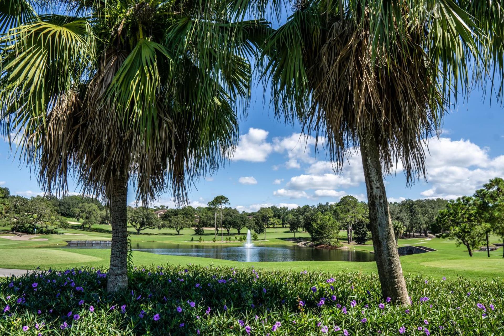 Mission Resort and Club gallery photo in Clermont, FL — image 67