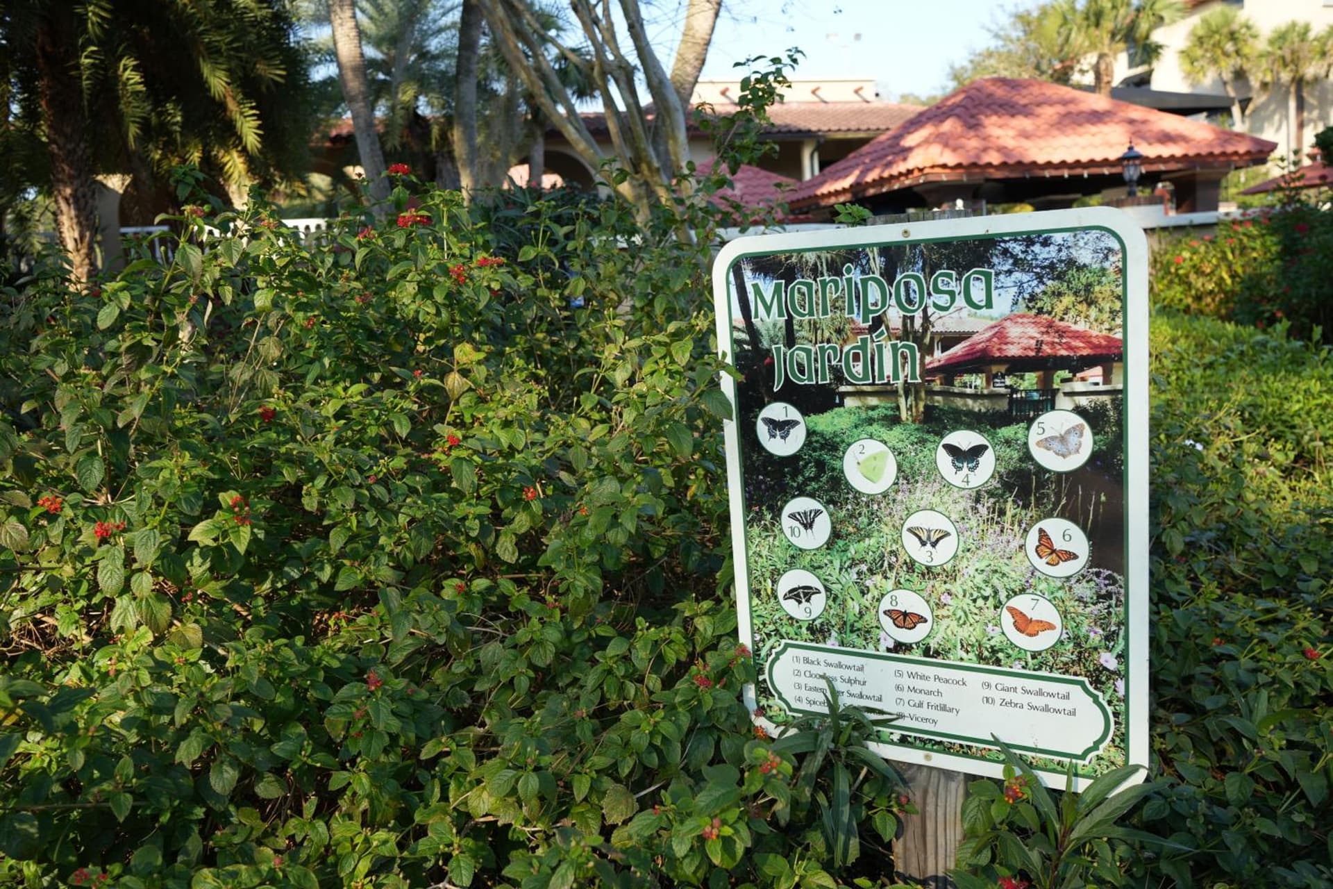 Mission Resort and Club gallery photo in Clermont, FL — image 84