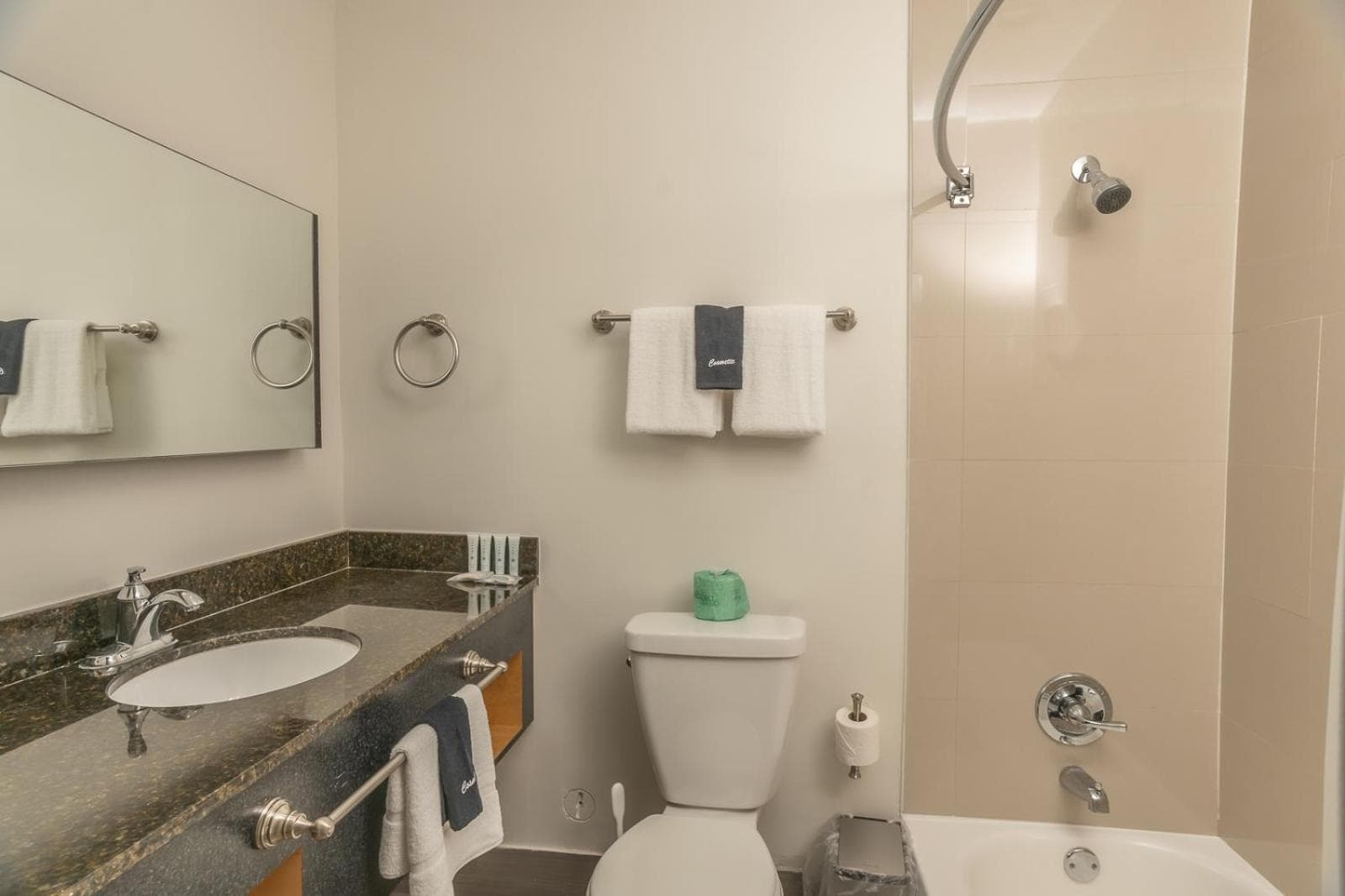 The Biscayne Hotel property views in Miami, FL — gallery photo 3
