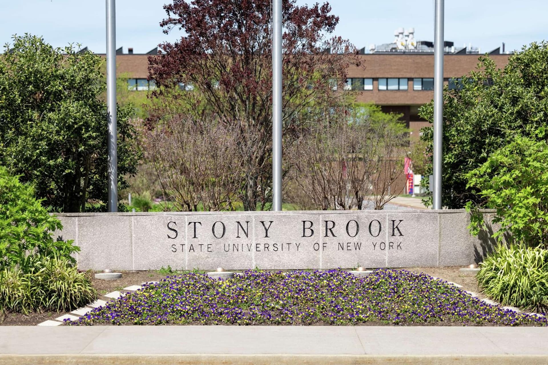 Hilton Garden Inn Stony Brook gallery photo in Stony Brook, NY — image 15