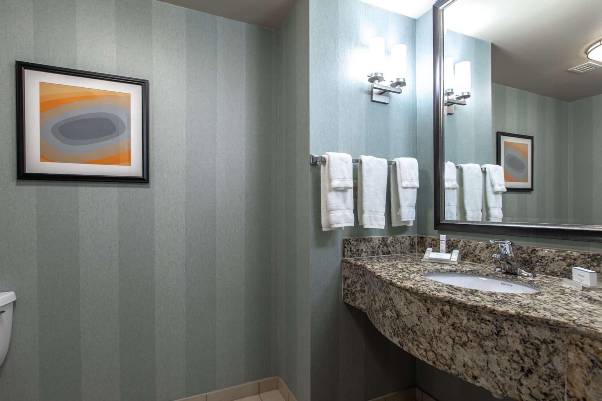 Hilton Garden Inn Lynchburg gallery photo in Lynchburg, VA — image 54