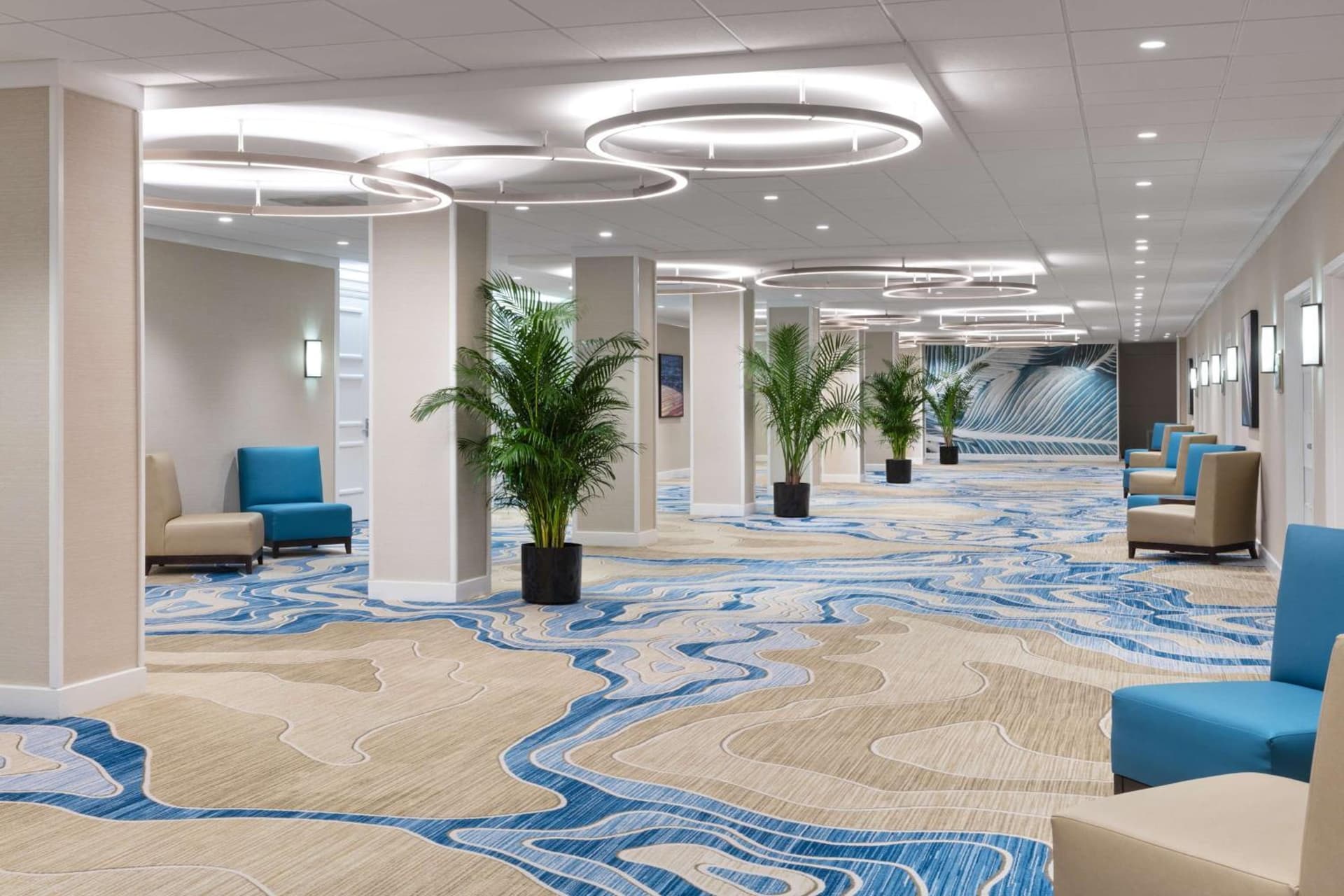 Hilton Clearwater Beach Resort & Spa gallery photo in Clearwater Beach, FL — image 16