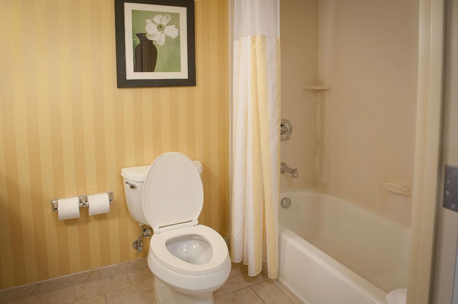 Hilton Garden Inn Pensacola Airport/Medical Center gallery photo in Pensacola, FL — image 18