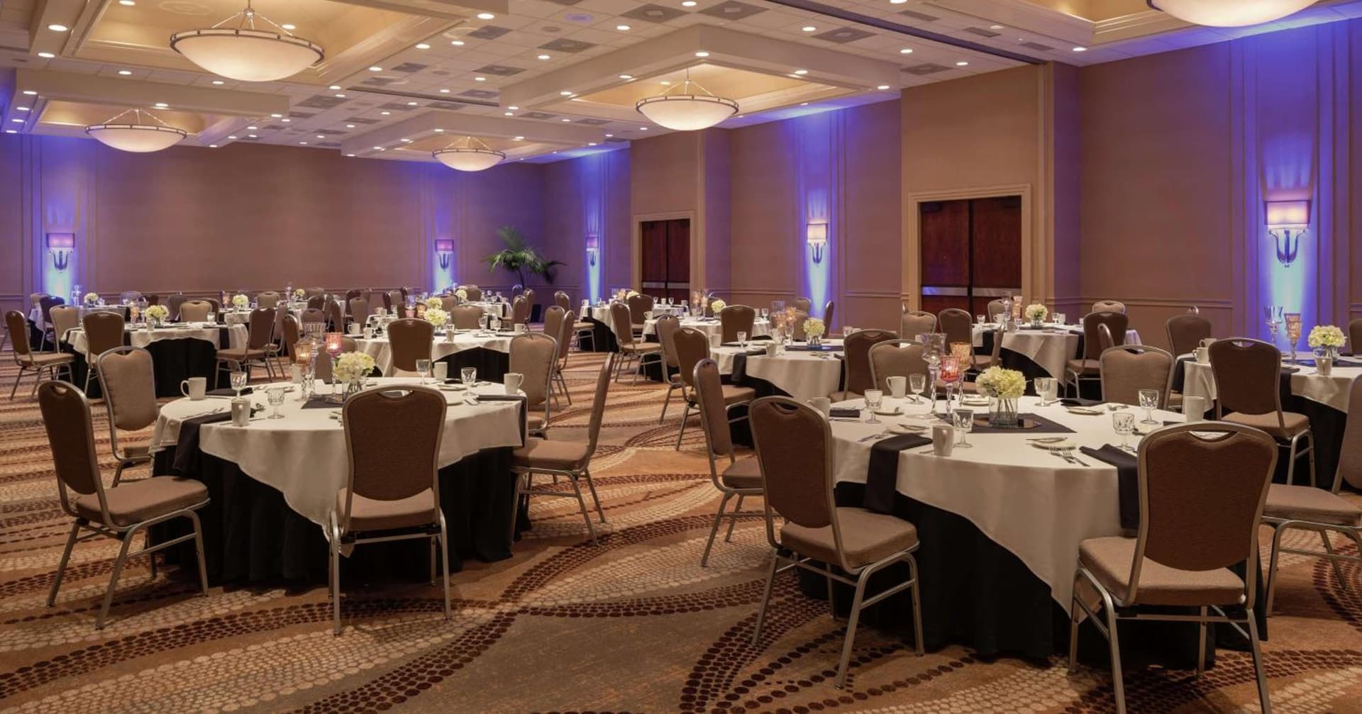 Hilton Durham near Duke University gallery photo in Durham, NC — image 13