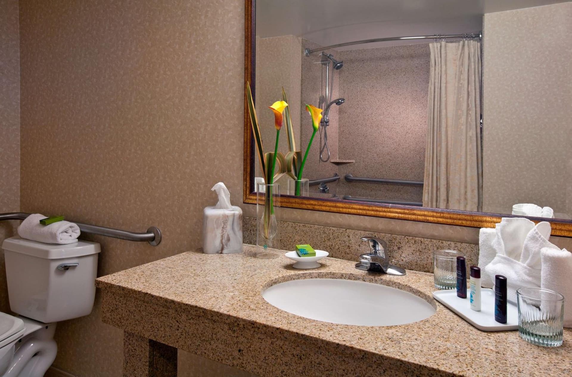 Embassy Suites by Hilton Sacramento Riverfront Promenade gallery photo in Sacramento, CA — image 60