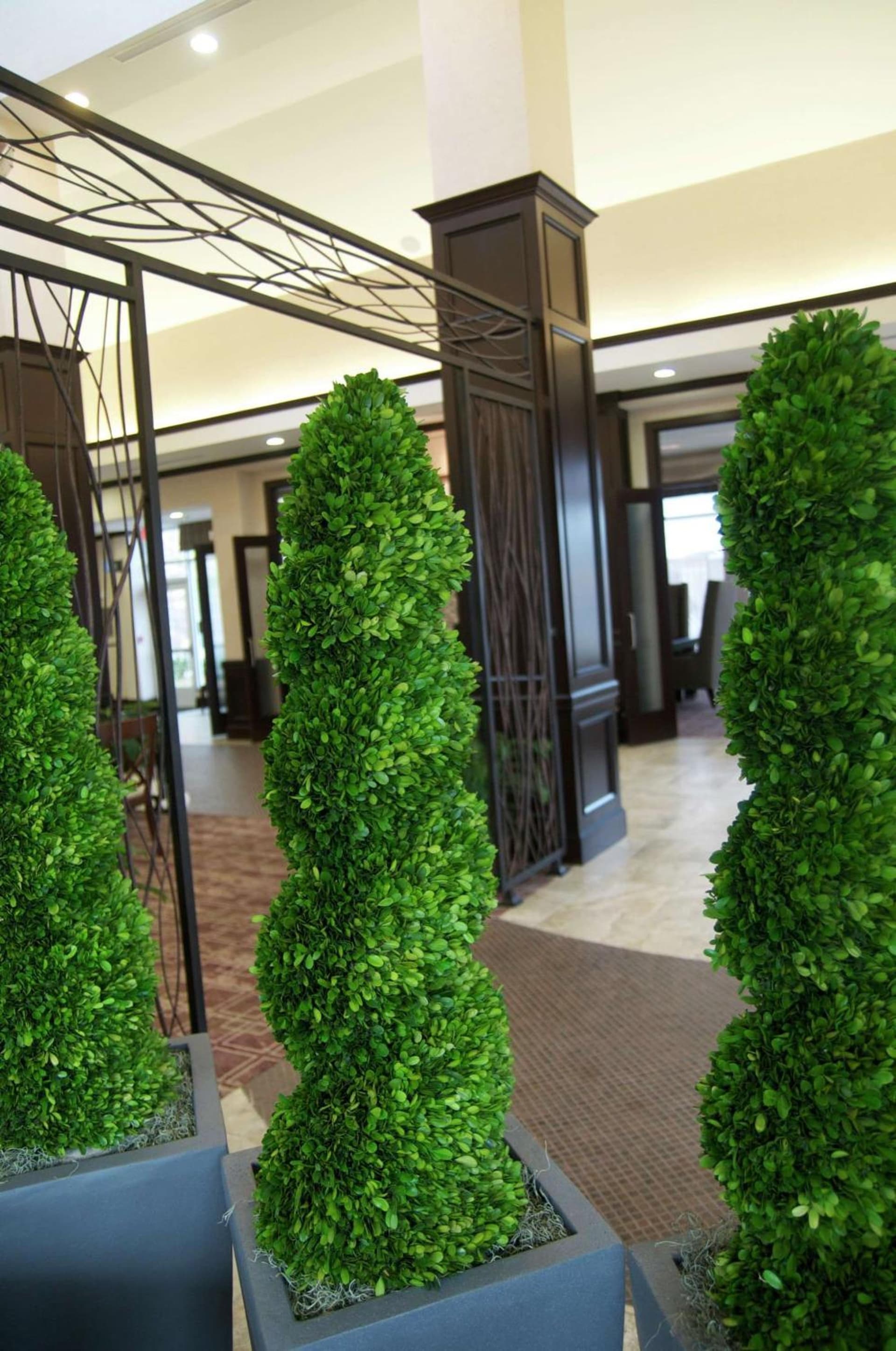 Hilton Garden Inn New Braunfels gallery photo in New Braunfels, TX — image 15