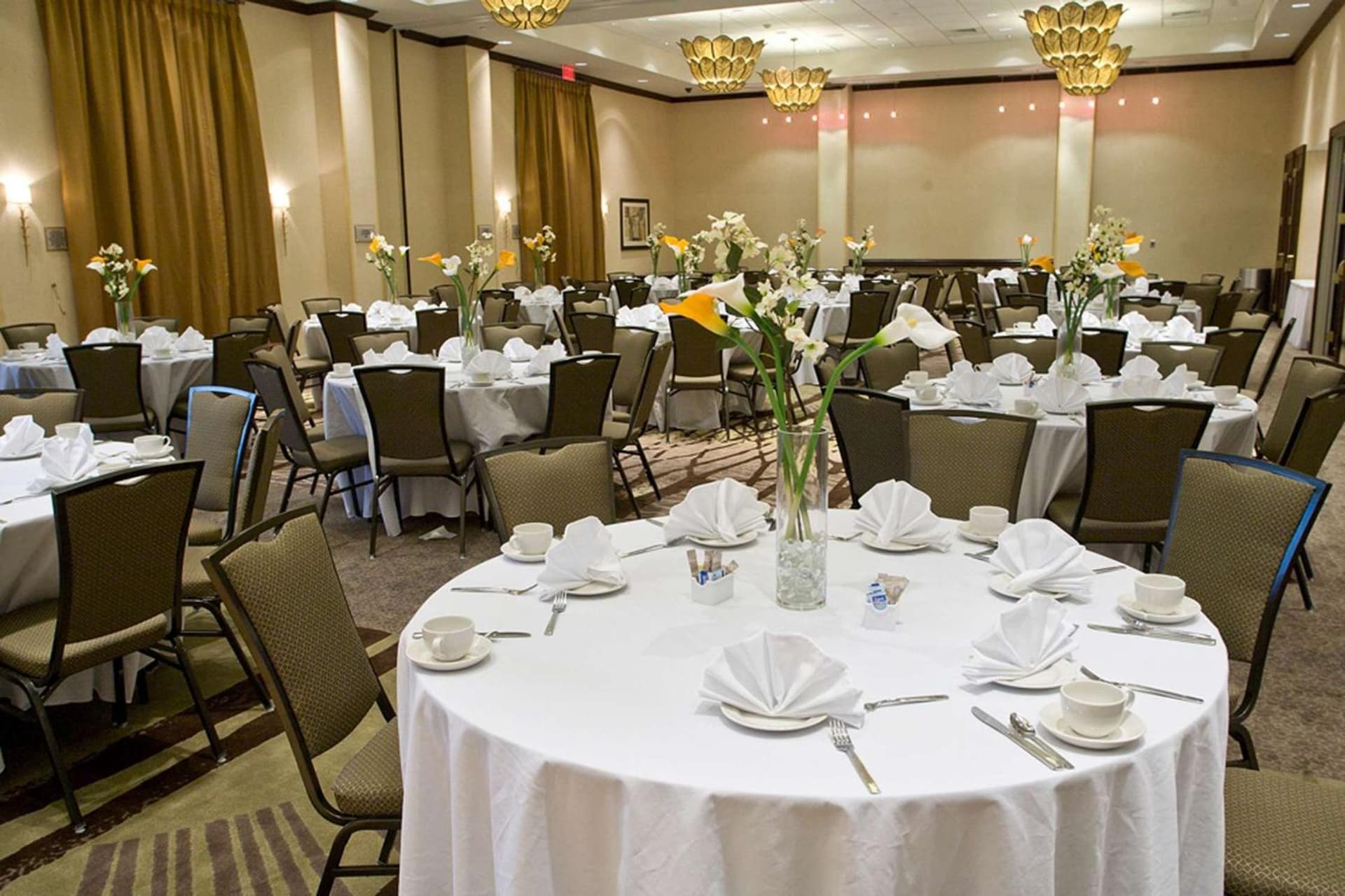 Embassy Suites Savannah Airport gallery photo in Savannah, GA — image 70