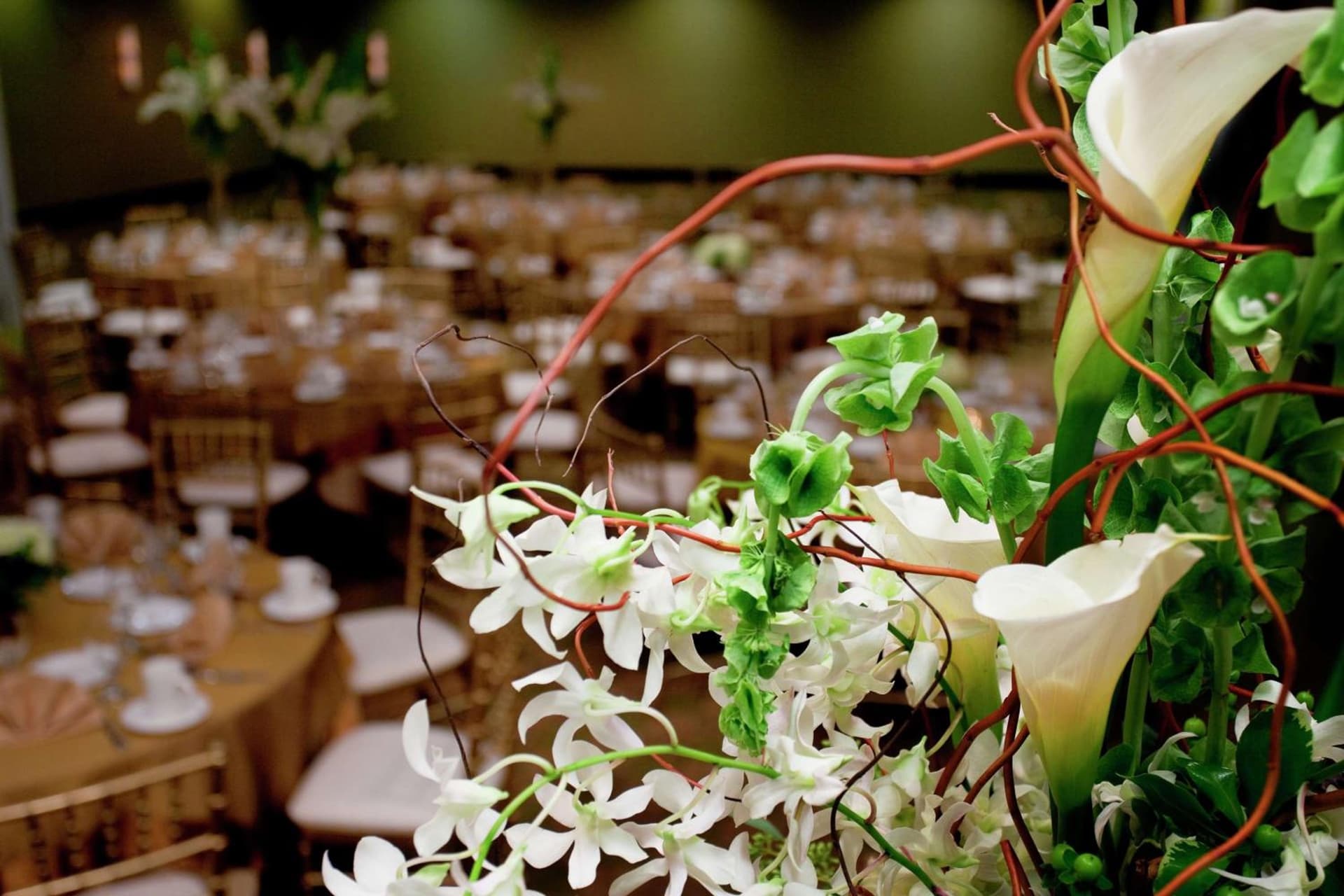 Hilton Garden Inn Seattle/Bothell gallery photo in Bothell, WA — image 13
