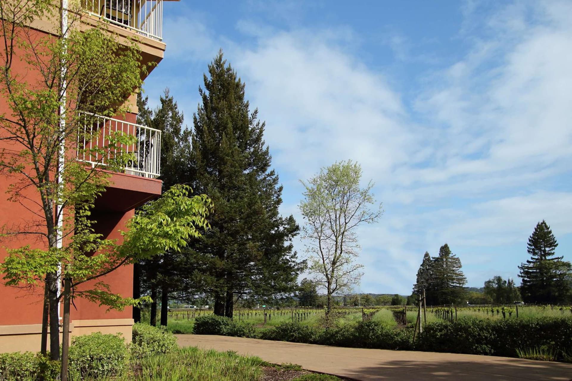 Hilton Garden Inn Sonoma County Airport gallery photo in Santa Rosa, CA — image 34
