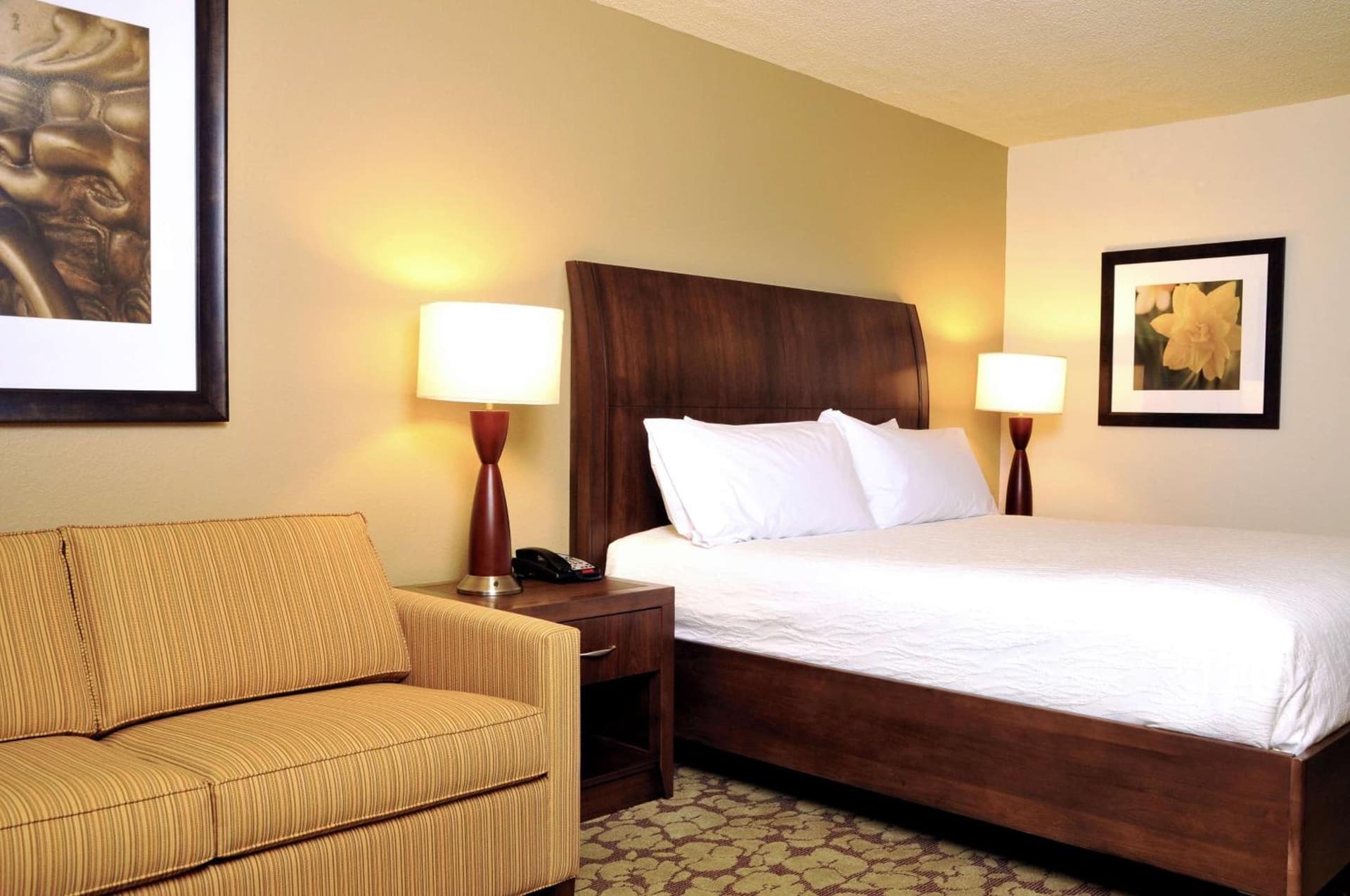 Hilton Garden Inn Tampa East Brandon gallery photo in Tampa, FL — image 10