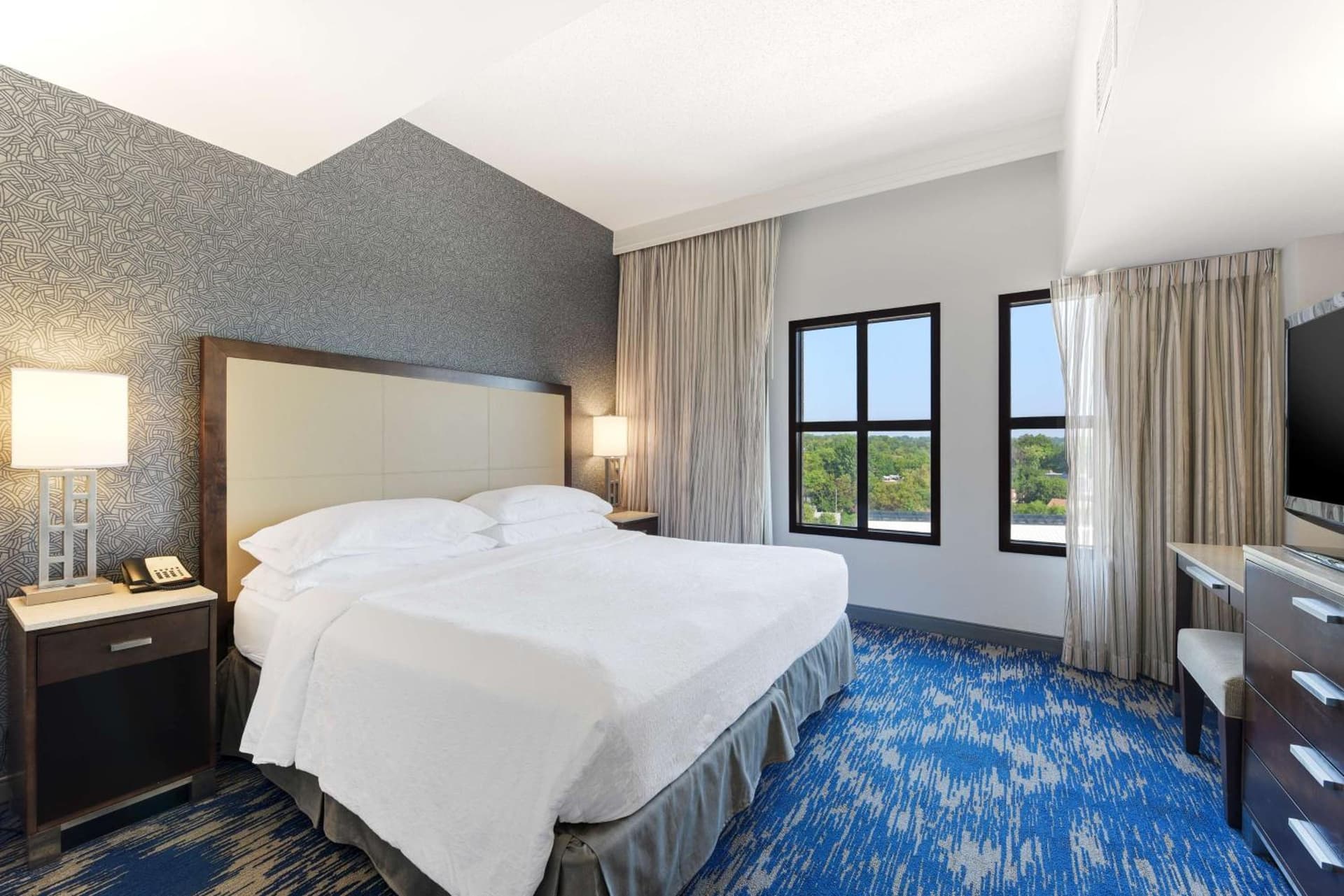 Embassy Suites by Hilton Alexandria Old Town gallery photo in Alexandria, VA — image 11