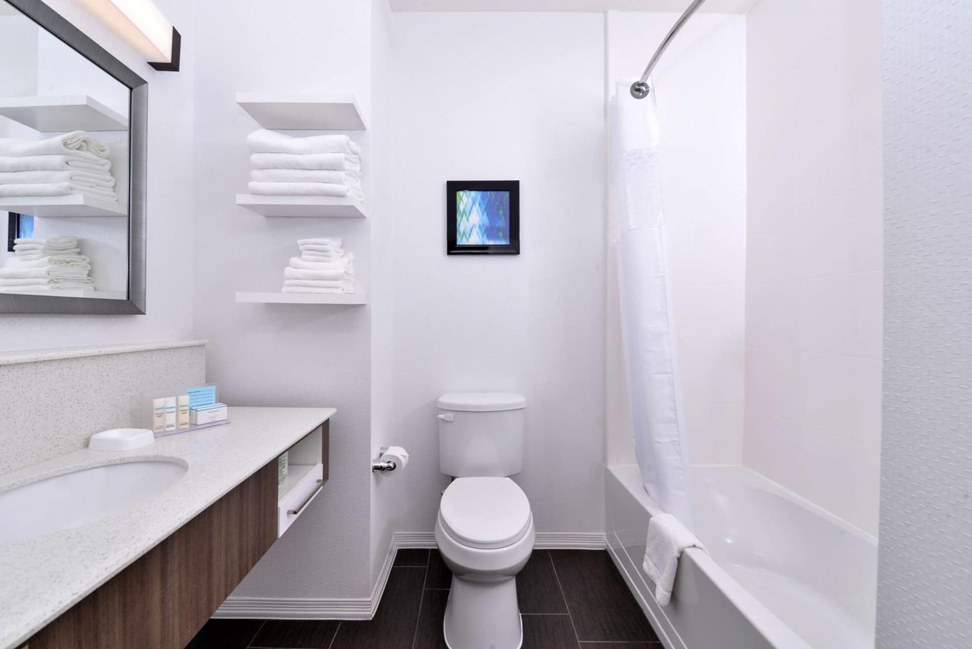 Hampton Inn Broussard-Lafayette gallery photo in Broussard, LA — image 4