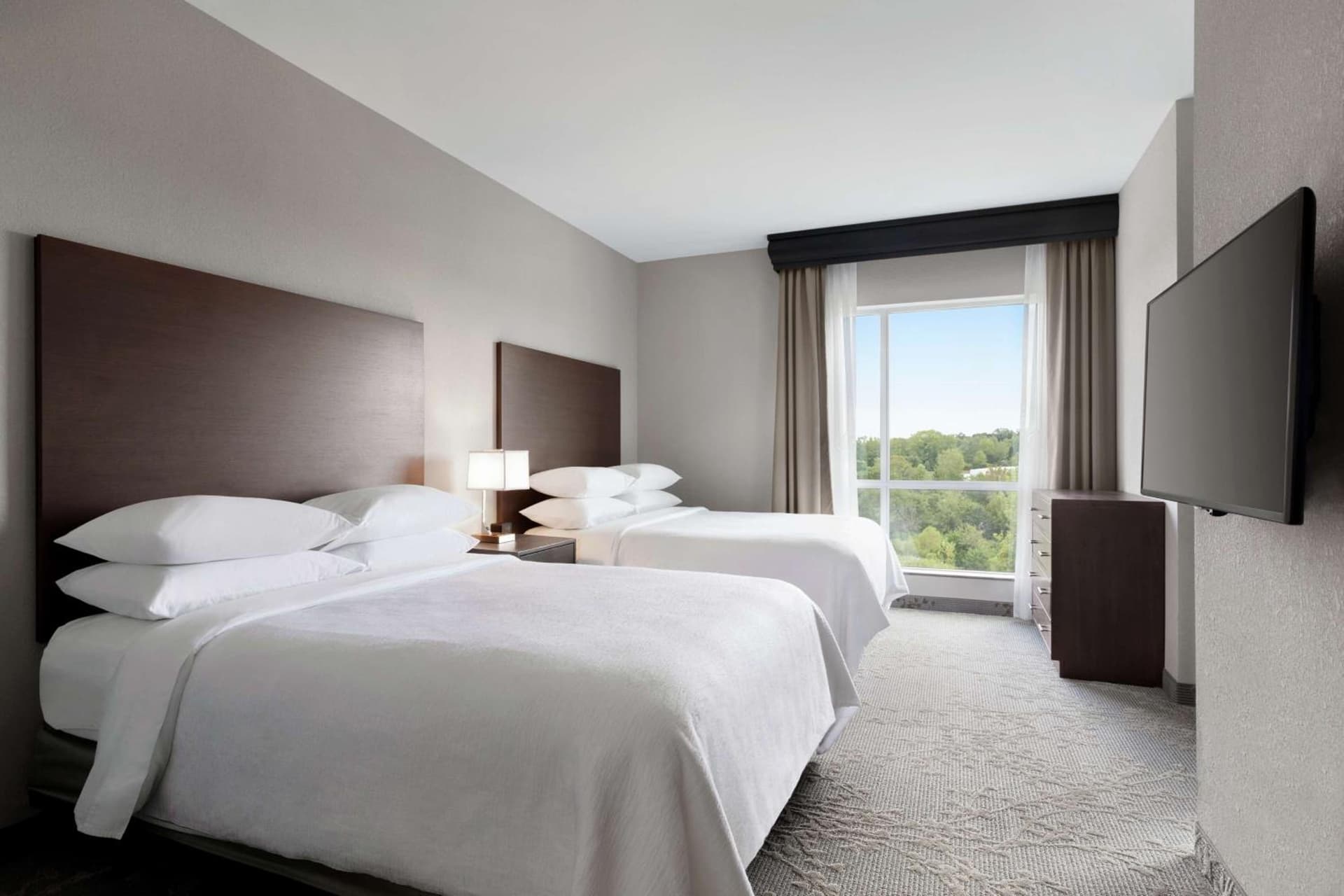 Embassy Suites Charlotte/Ayrsley gallery photo in Charlotte, NC — image 26