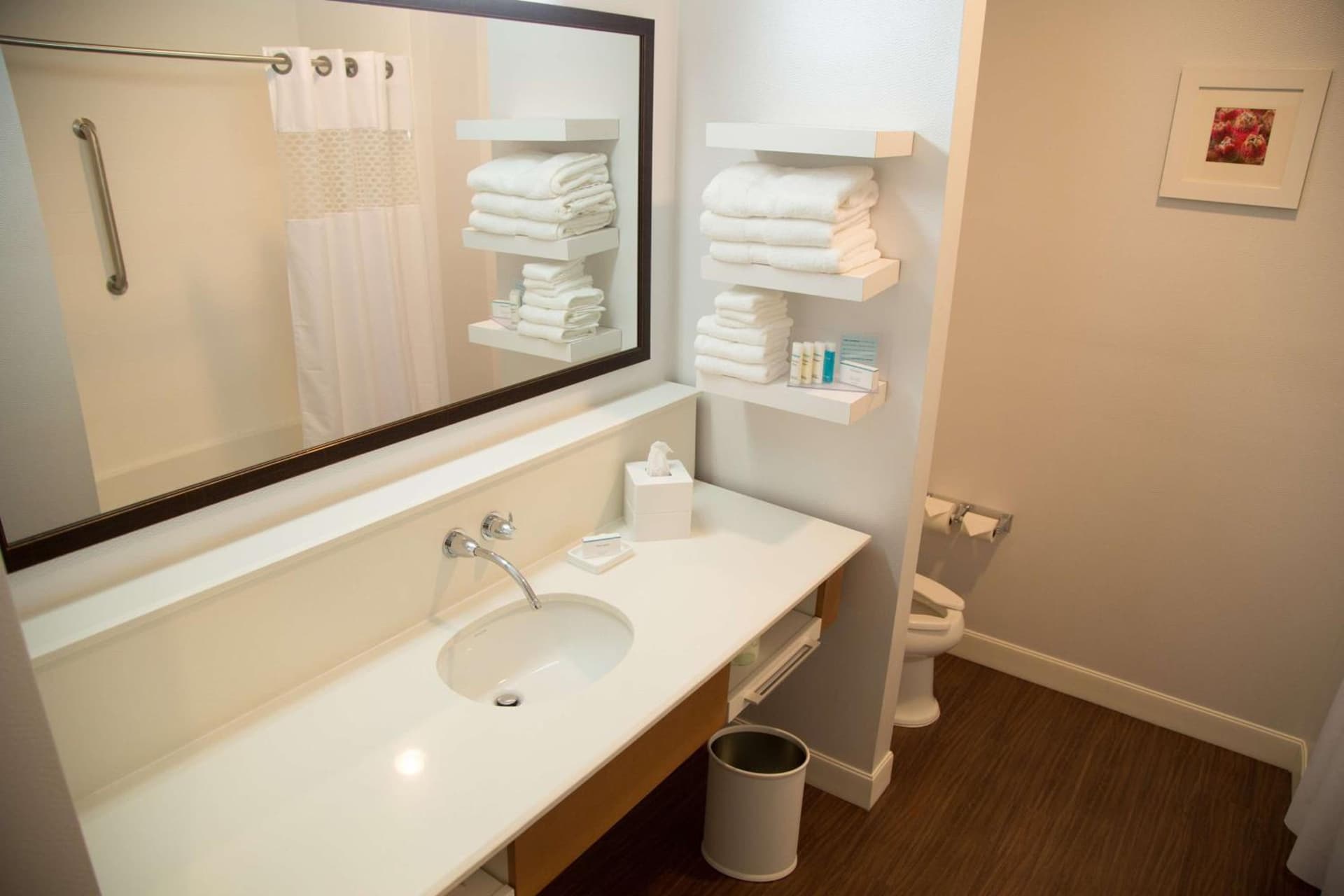 Hampton Inn and Suites by Hilton McKinney gallery photo in McKinney, TX — image 18