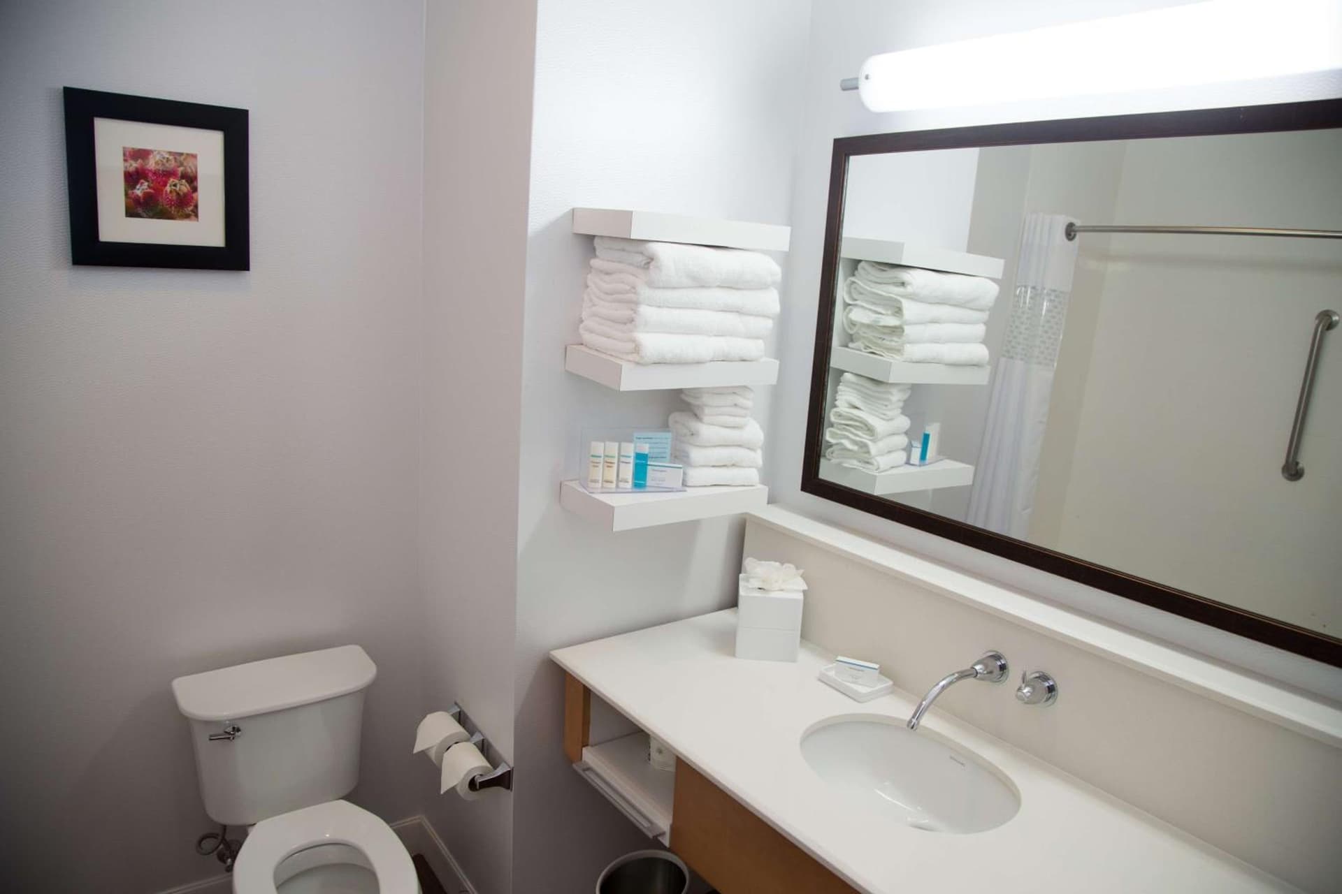 Hampton Inn and Suites by Hilton McKinney gallery photo in McKinney, TX — image 14