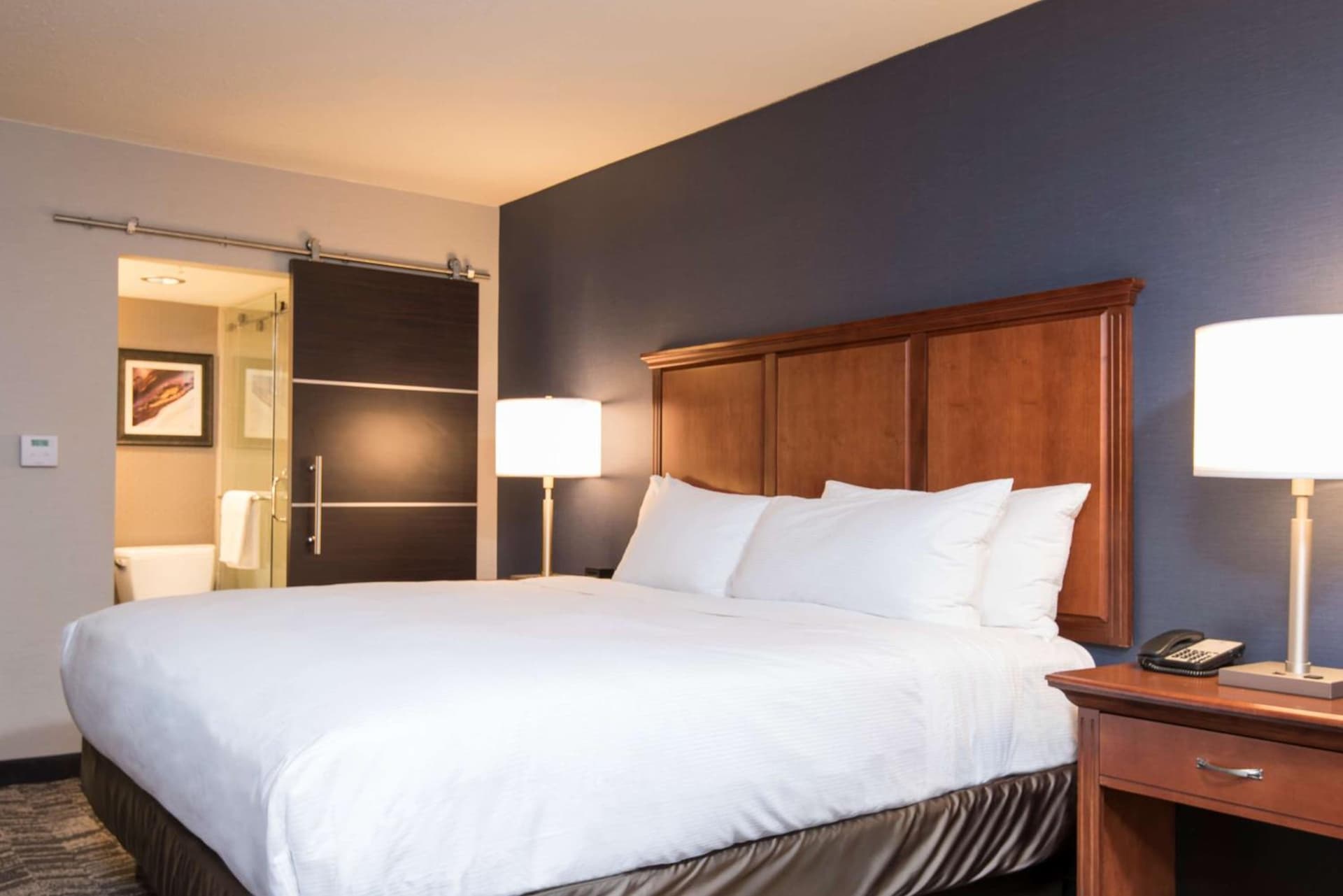 DoubleTree by Hilton Schenectady gallery photo in Schenectady, NY — image 35