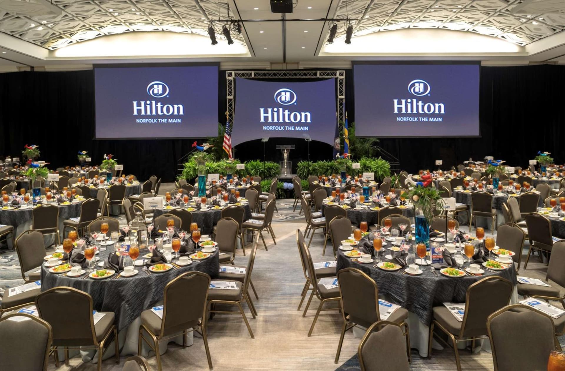 Hilton Norfolk The Main gallery photo in Norfolk, VA — image 37