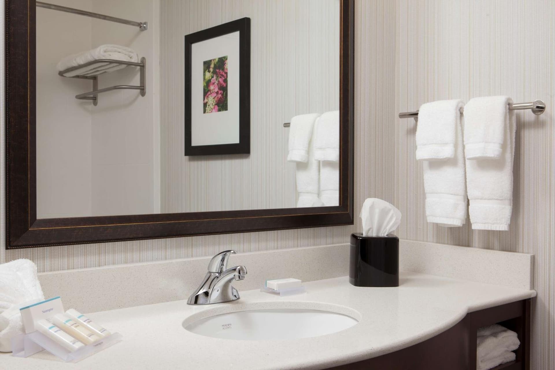 Hilton Garden Inn Bettendorf/ Quad Cities gallery photo in Bettendorf, IA — image 13