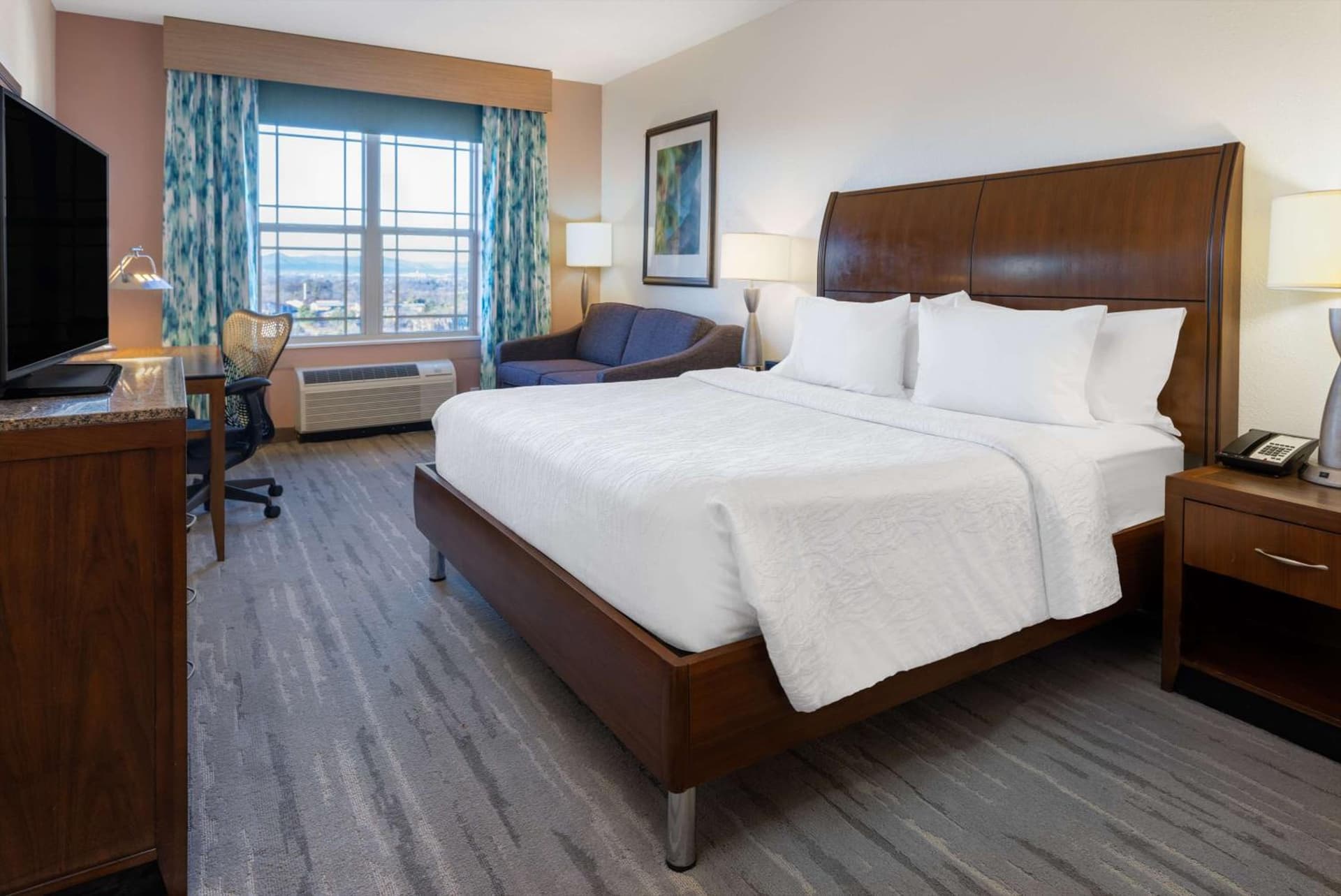 Hilton Garden Inn Roanoke gallery photo in Roanoke, VA — image 50