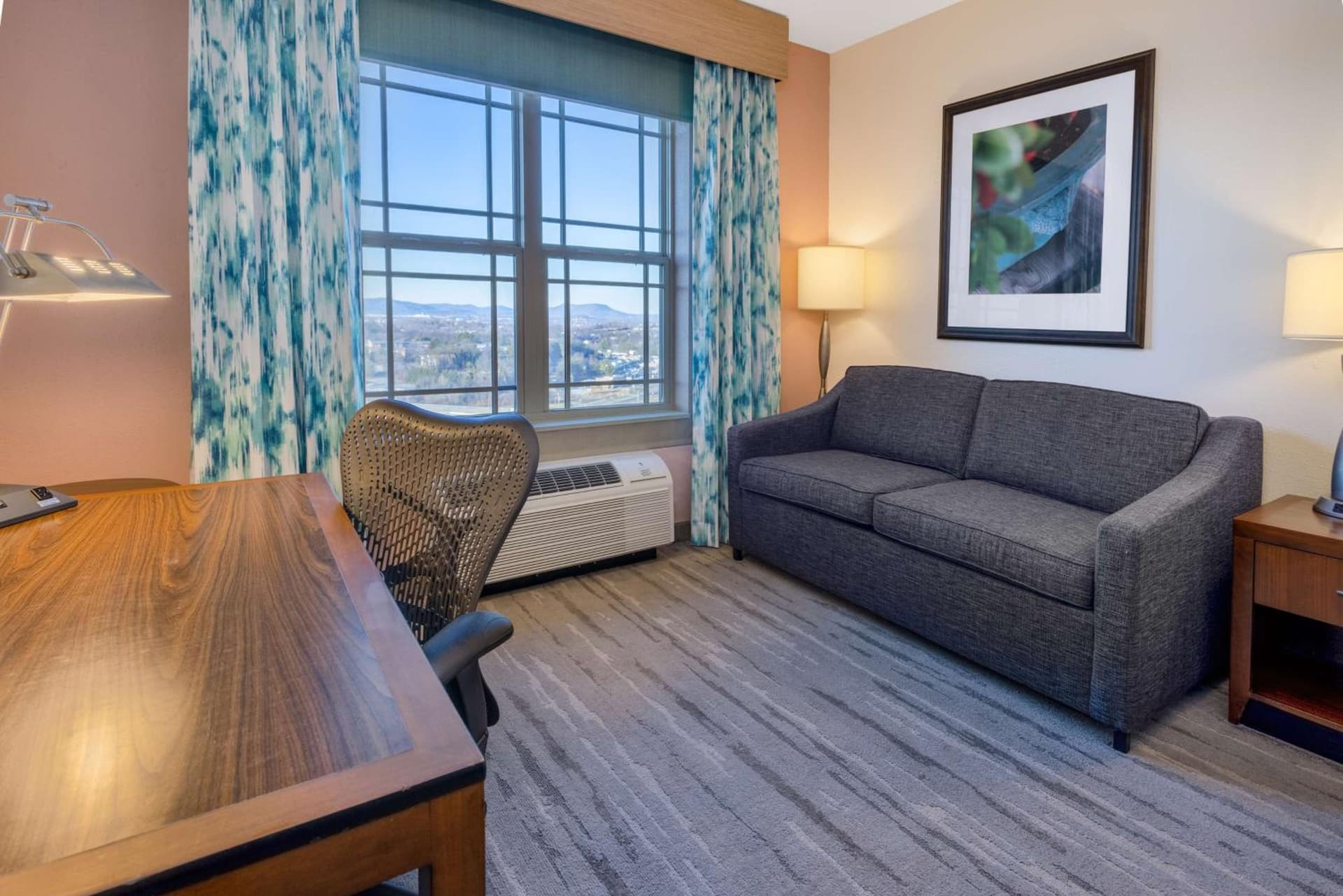 Hilton Garden Inn Roanoke gallery photo in Roanoke, VA — image 31