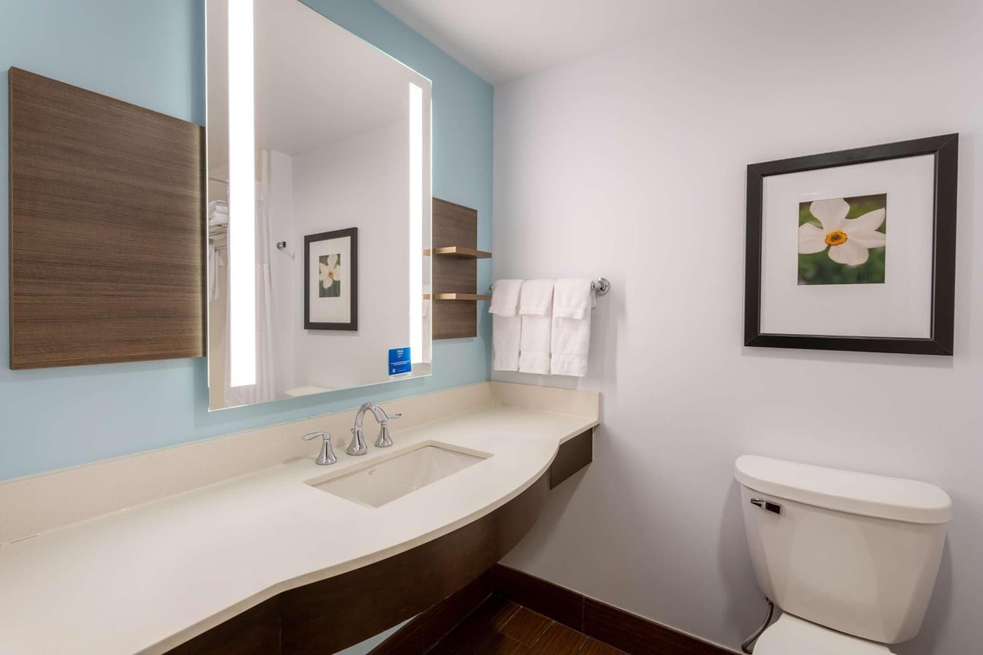 Hilton Garden Inn Roanoke gallery photo in Roanoke, VA — image 13