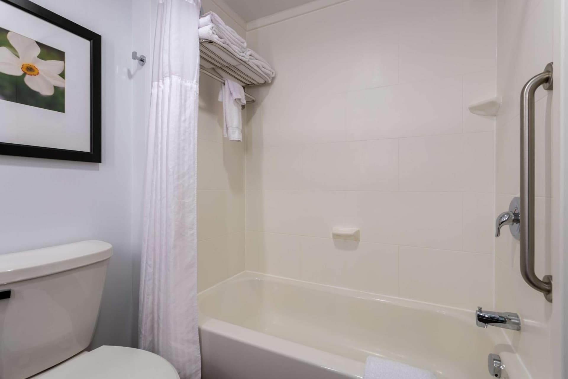 Hilton Garden Inn Roanoke gallery photo in Roanoke, VA — image 16
