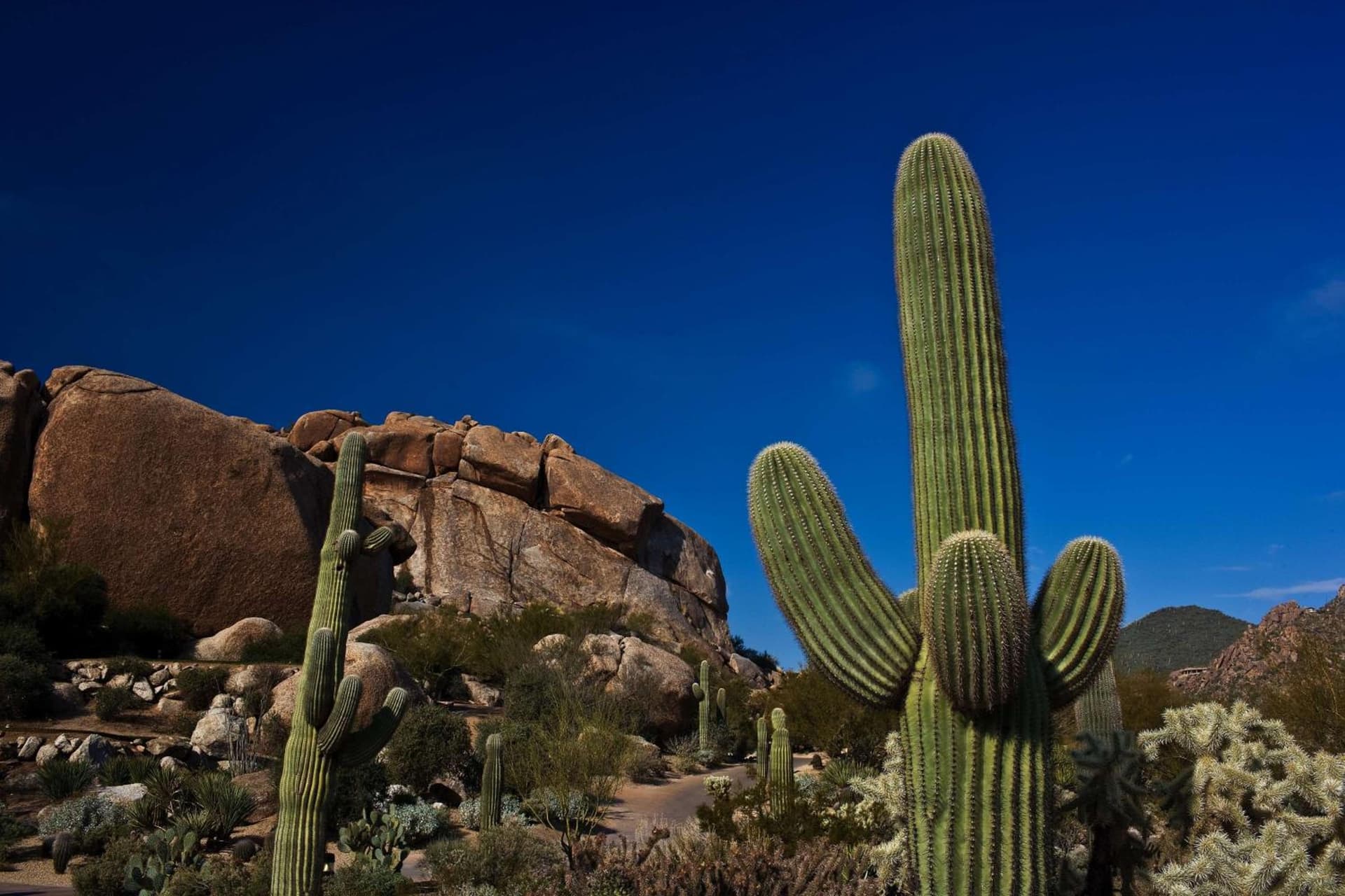 Boulders Resort & Spa Scottsdale, Curio Collection by Hilton gallery photo in Scottsdale, AZ — image 29