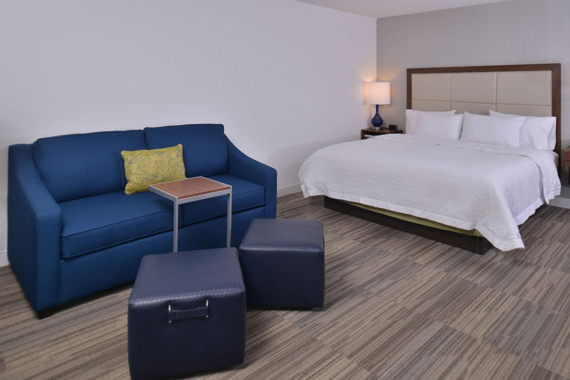 Hampton Inn & Suites Ann Arbor West gallery photo in Ann Arbor, MI — image 45