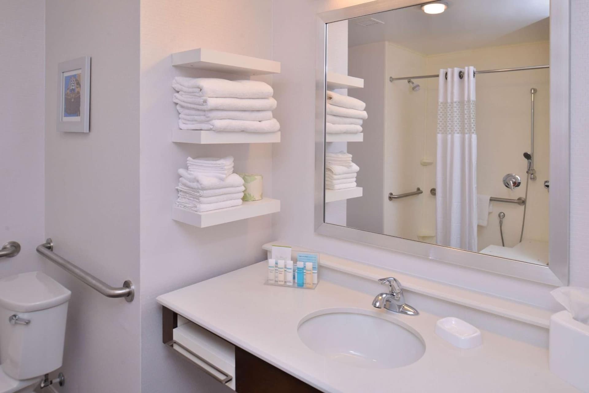 Hampton Inn & Suites Ann Arbor West gallery photo in Ann Arbor, MI — image 46