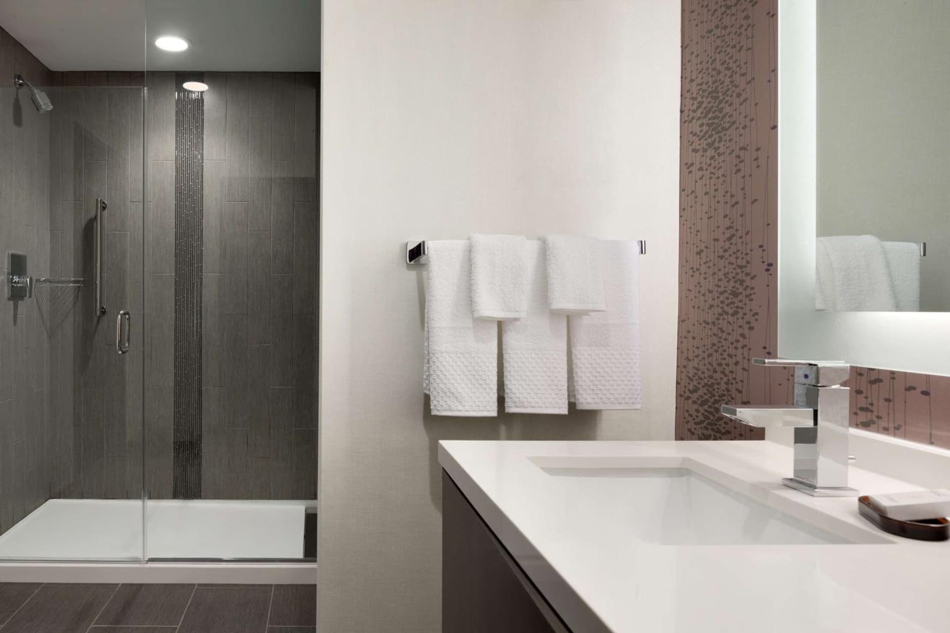 Embassy Suites by Hilton Charlotte Uptown gallery photo in Charlotte, NC — image 6