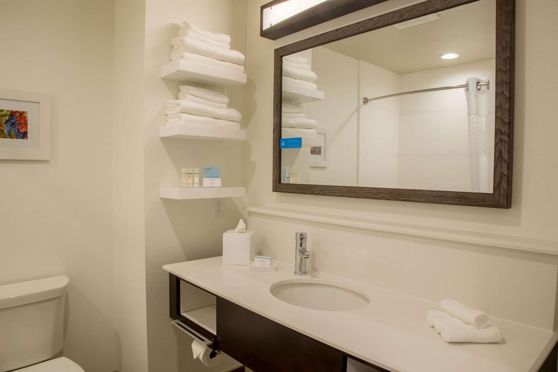 Hampton Inn & Suites Murrieta Temecula gallery photo in Murrieta, CA — image 41