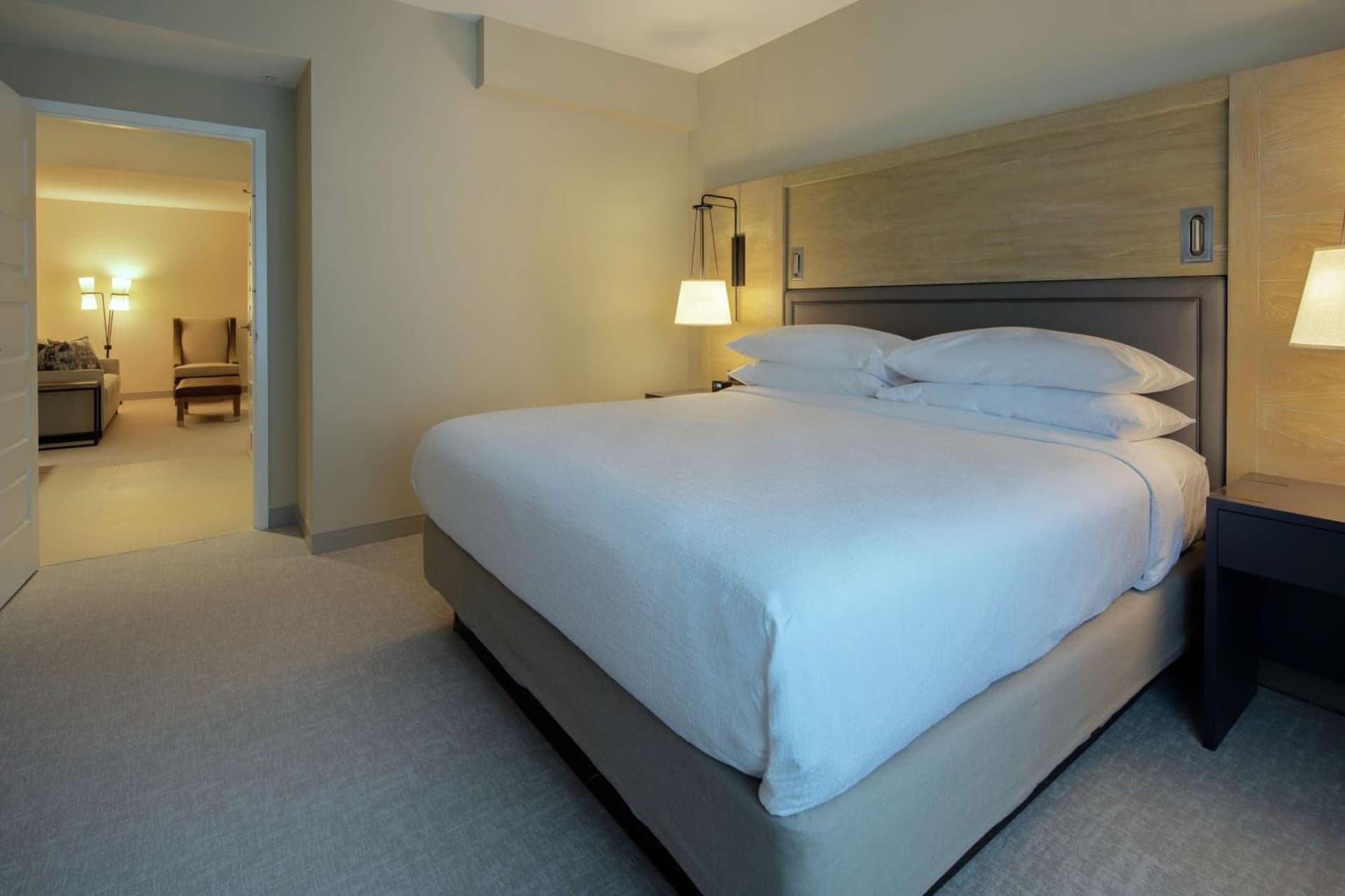 Embassy Suites St Augustine Beach Oceanfront Resort gallery photo in Saint Augustine Beach, FL — image 74