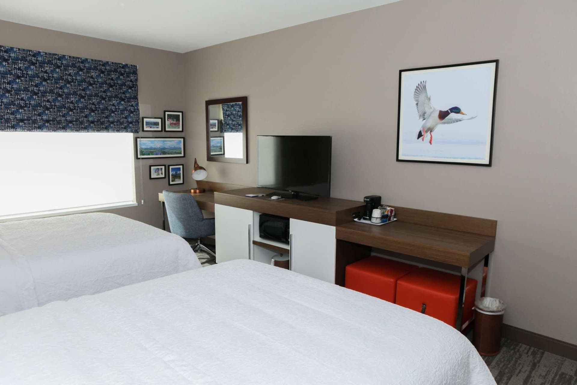 Hampton Inn & Suites Lafayette Medical Center, CO gallery photo in Lafayette, CO — image 24