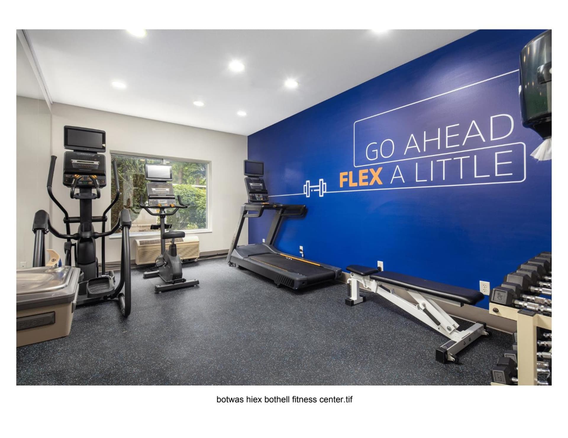 Holiday Inn Express Bothell by IHG gallery photo in Bothell, WA — image 38