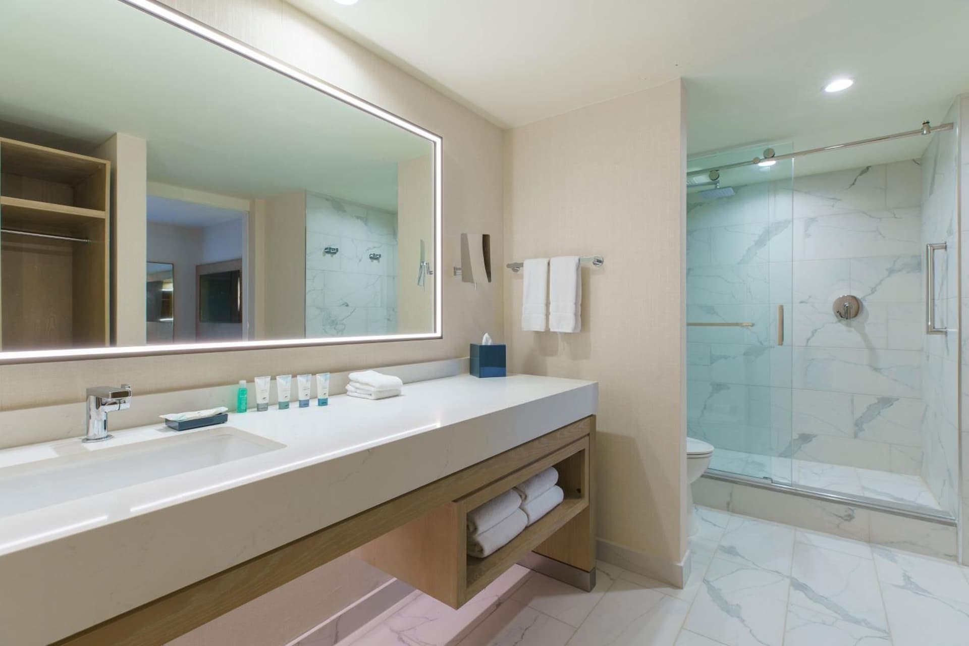 The Westin O'Hare gallery photo in Rosemont, IL — image 48