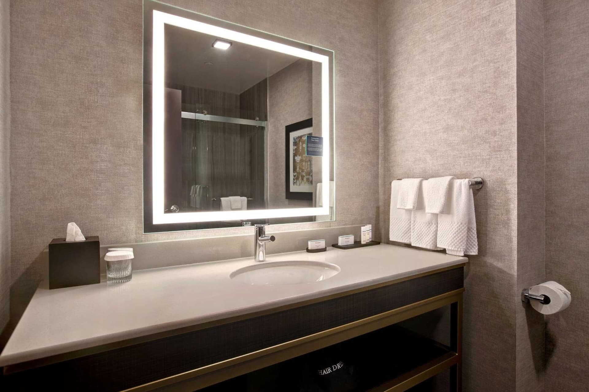 Embassy Suites By Hilton Rockford Riverfront gallery photo in Rockford, IL — image 32