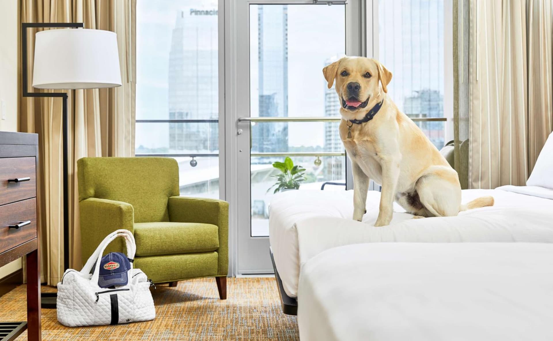 Embassy Suites by Hilton Nashville Downtown gallery photo in Nashville, TN — image 17
