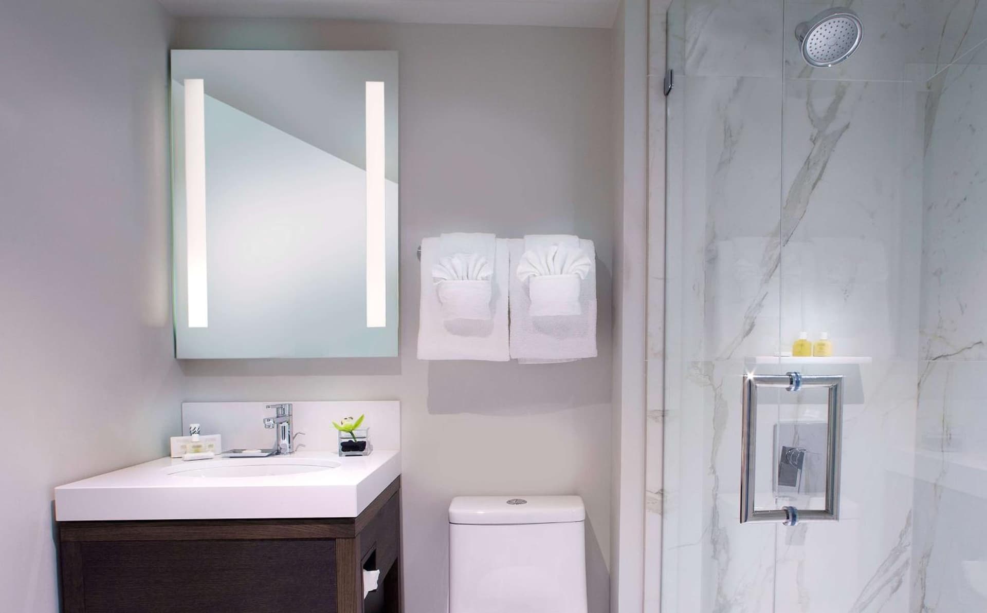 The Benson Portland, Curio Collection by Hilton gallery photo in Portland, OR — image 4