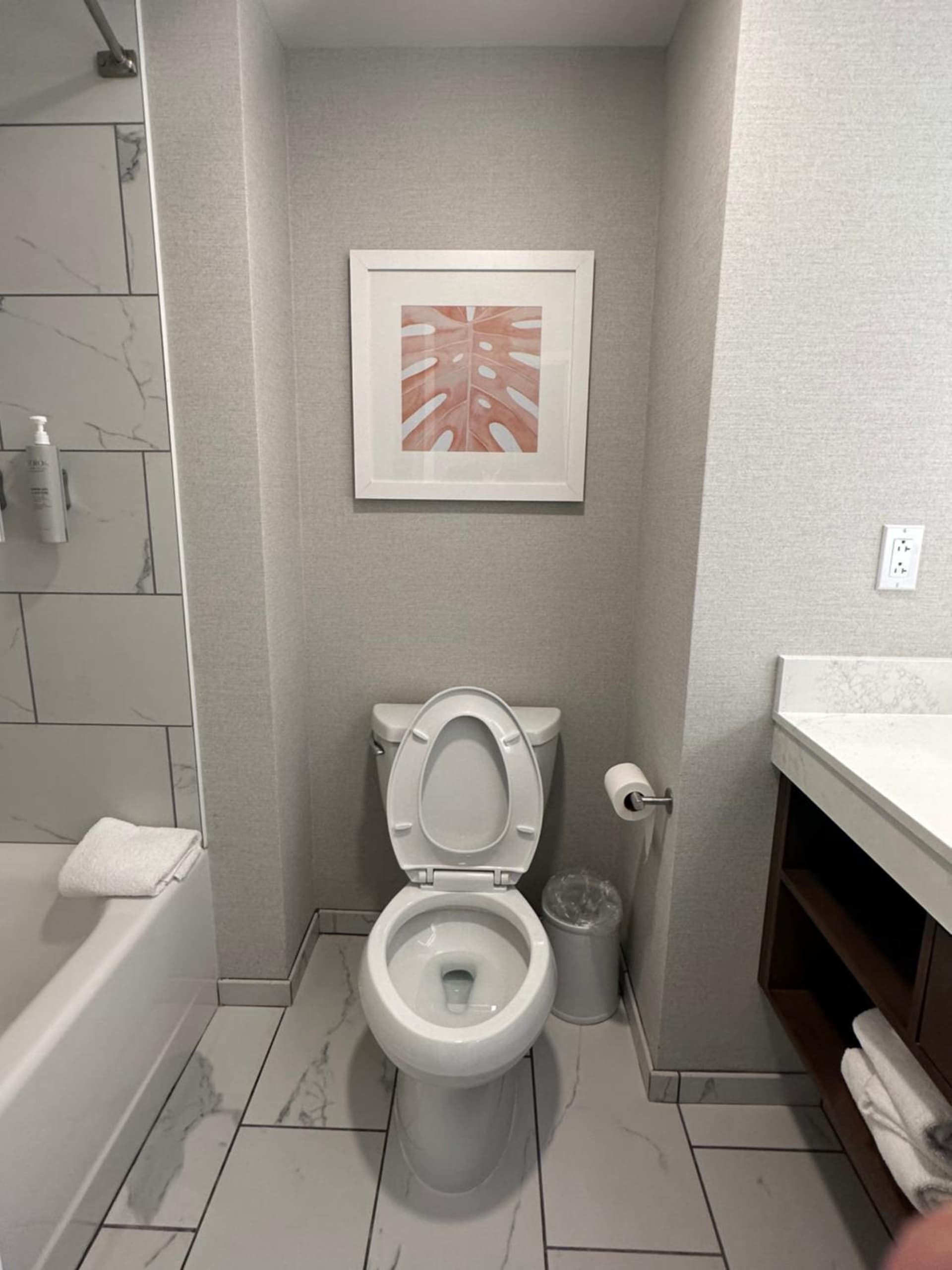 Hampton Inn Virginia Beach-Oceanfront South gallery photo in Virginia Beach, VA — image 69
