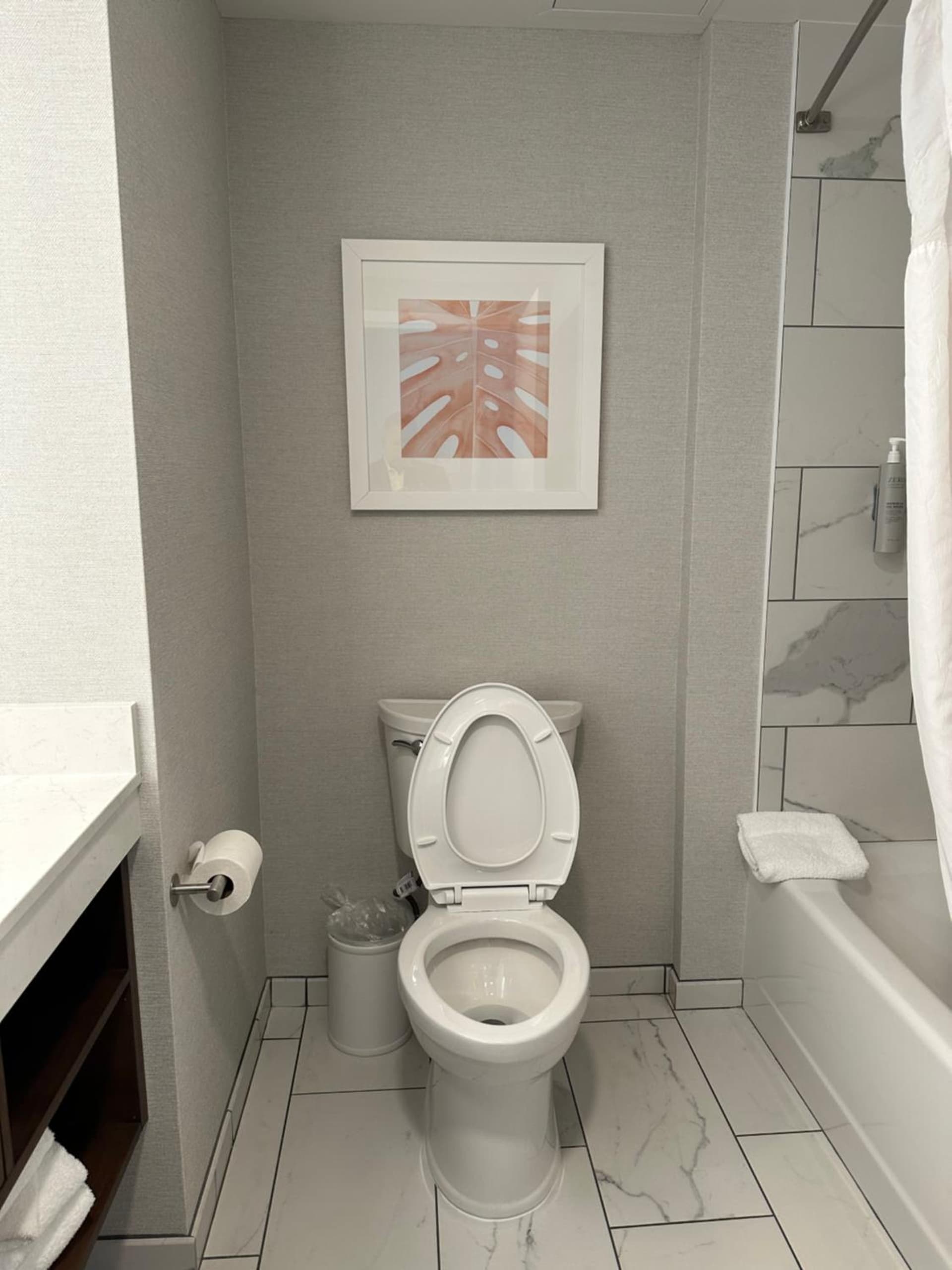 Hampton Inn Virginia Beach-Oceanfront South gallery photo in Virginia Beach, VA — image 65