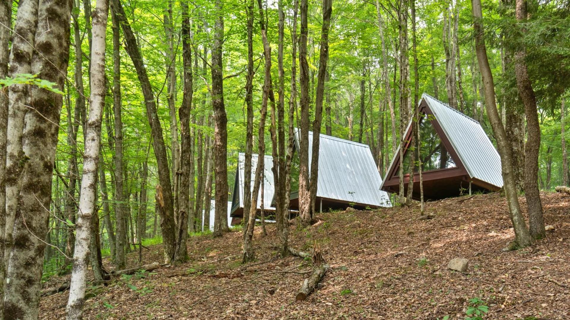 Callicoon Hills gallery photo in Callicoon Center — image 56