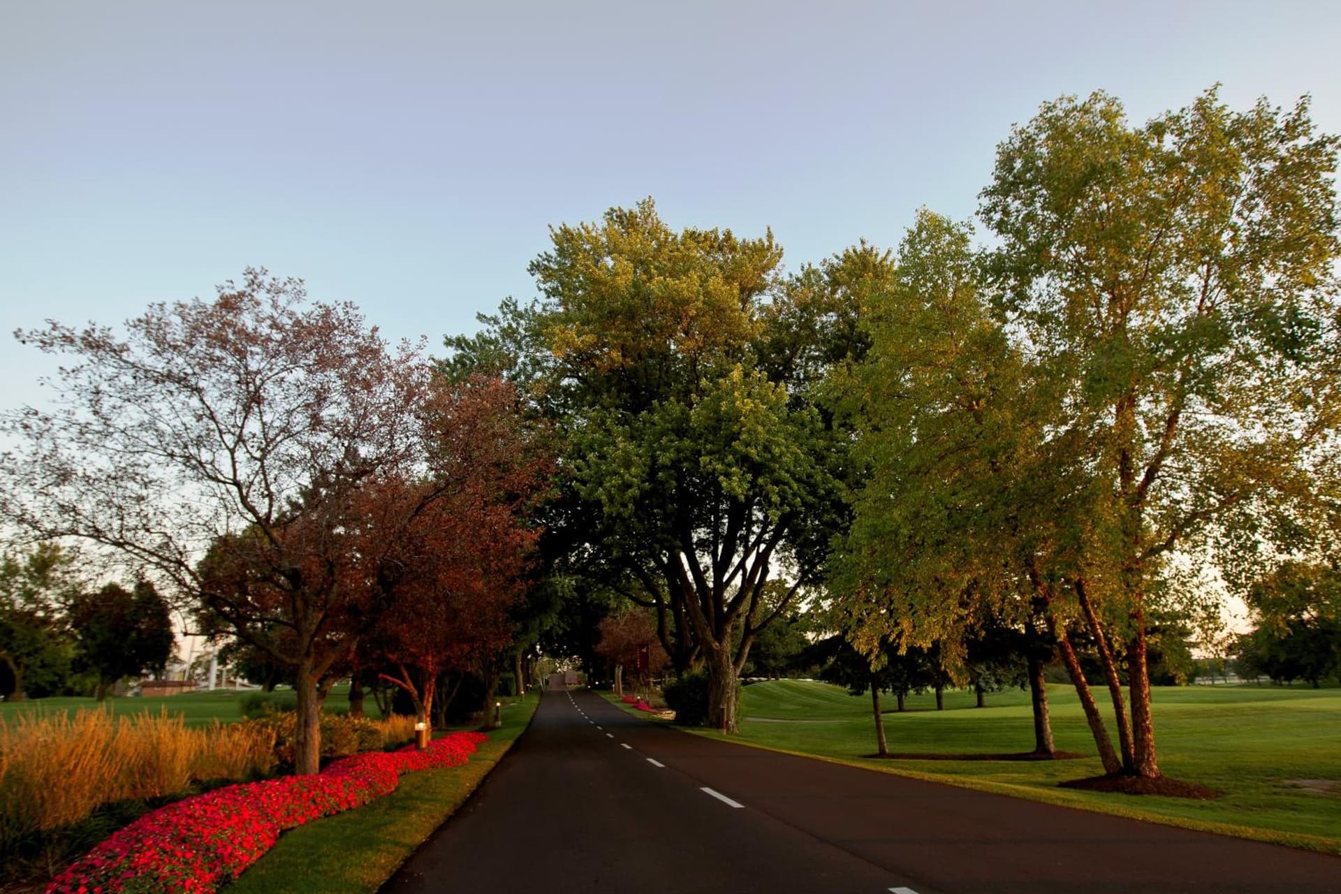 Lake Lawn Resort gallery photo in Delavan, WI — image 5