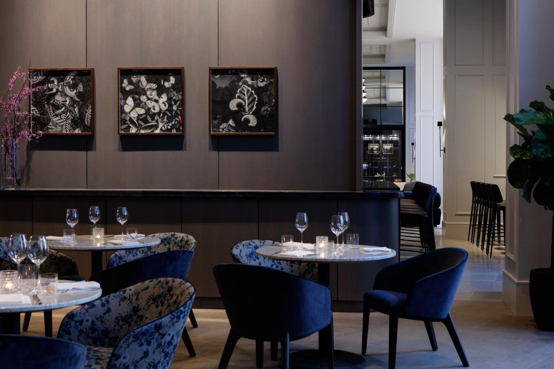 Kimpton - The Forum Hotel by IHG gallery photo in Charlottesville, VA — image 102